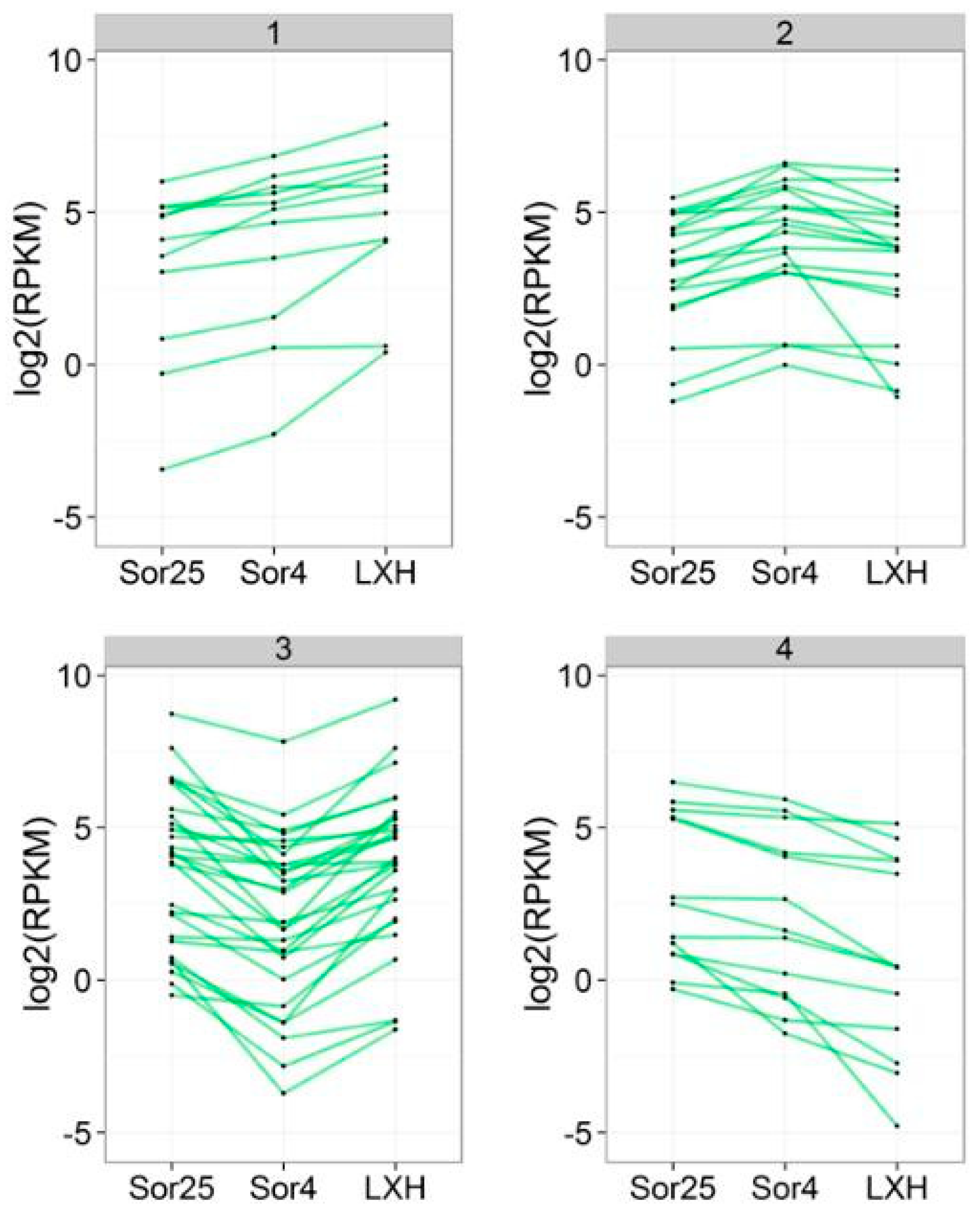 Ijms 21 03092 g002 Ijms 21 03092 g002