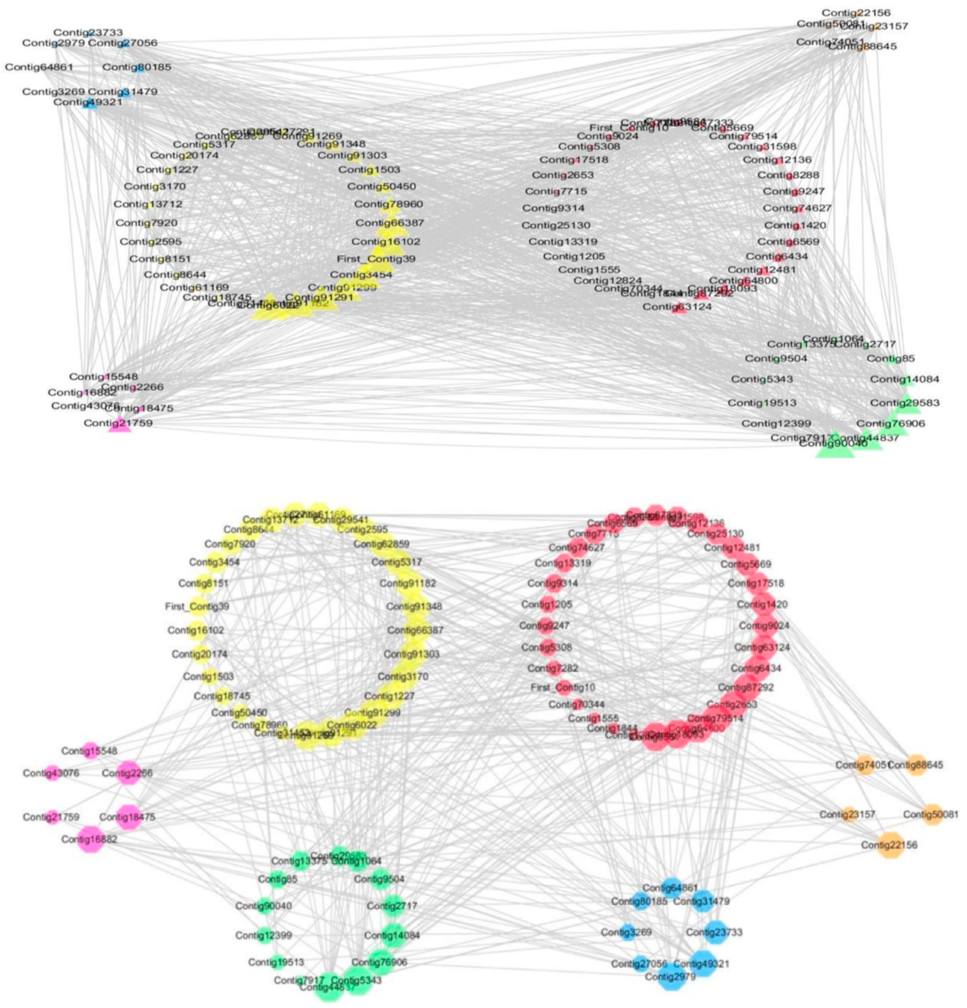 Ijms 21 03092 g003 Ijms 21 03092 g003