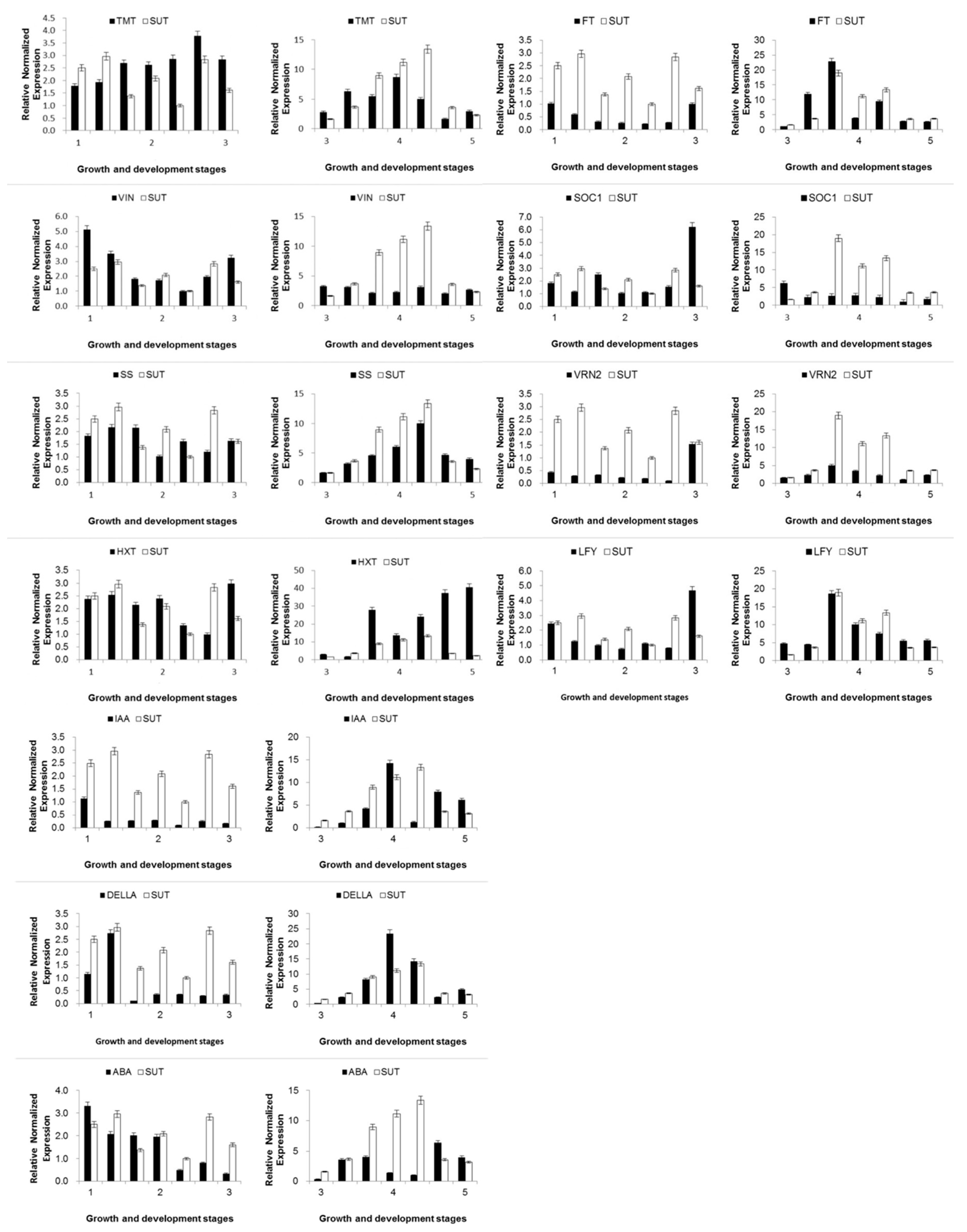 Ijms 21 03092 g006 Ijms 21 03092 g006