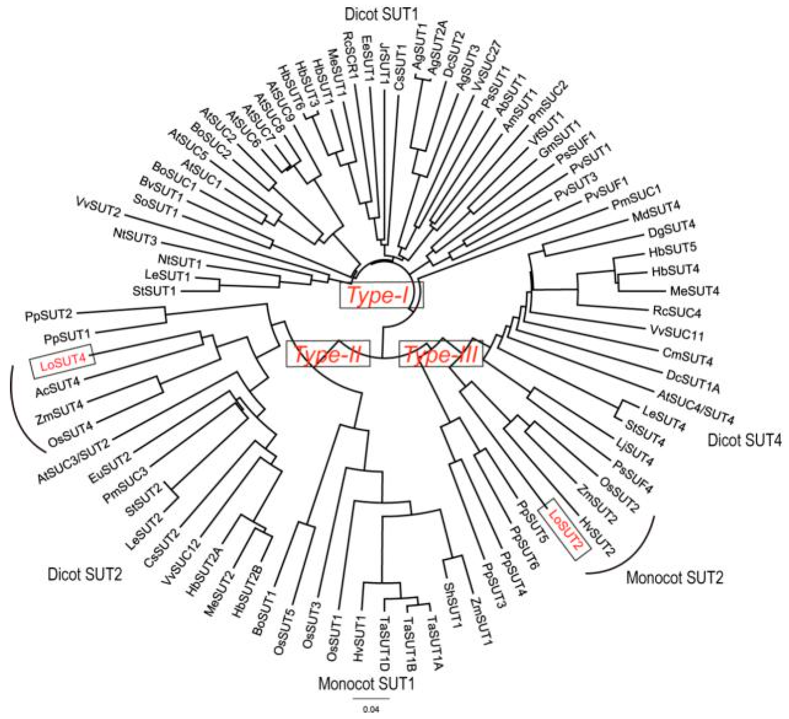 Ijms 21 03092 g010 Ijms 21 03092 g010