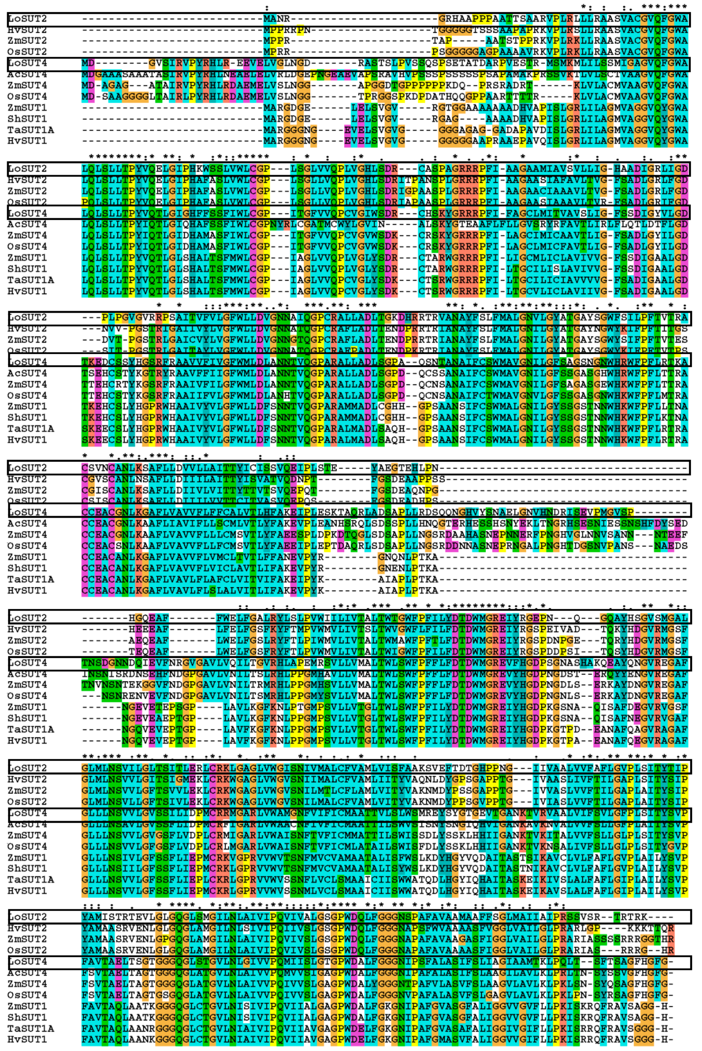 Ijms 21 03092 g011 Ijms 21 03092 g011
