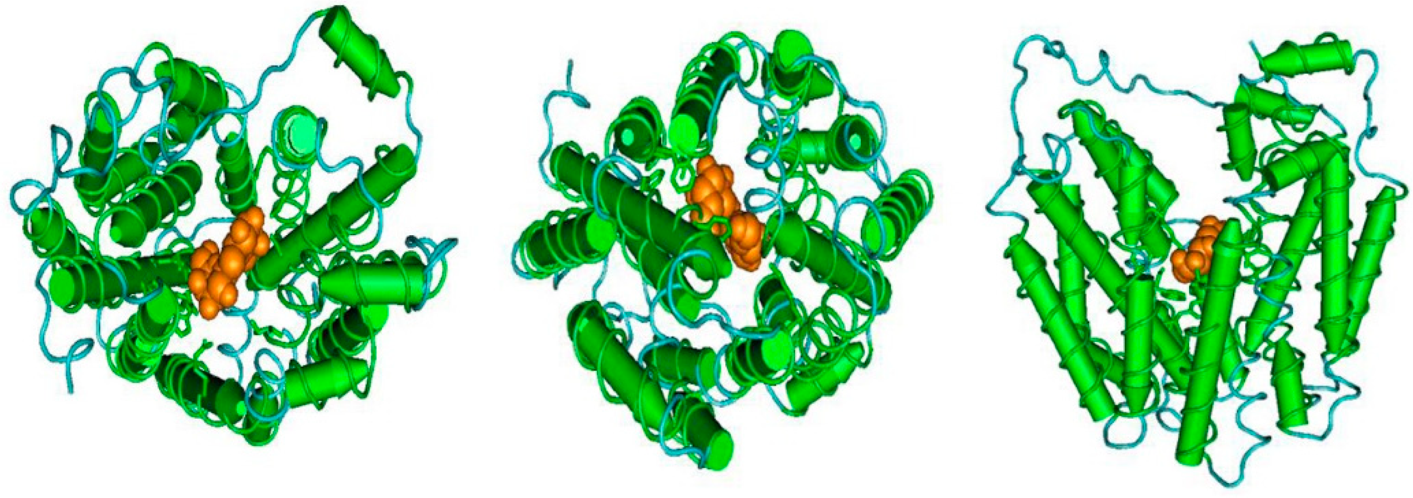 Ijms 21 03092 g012 Ijms 21 03092 g012