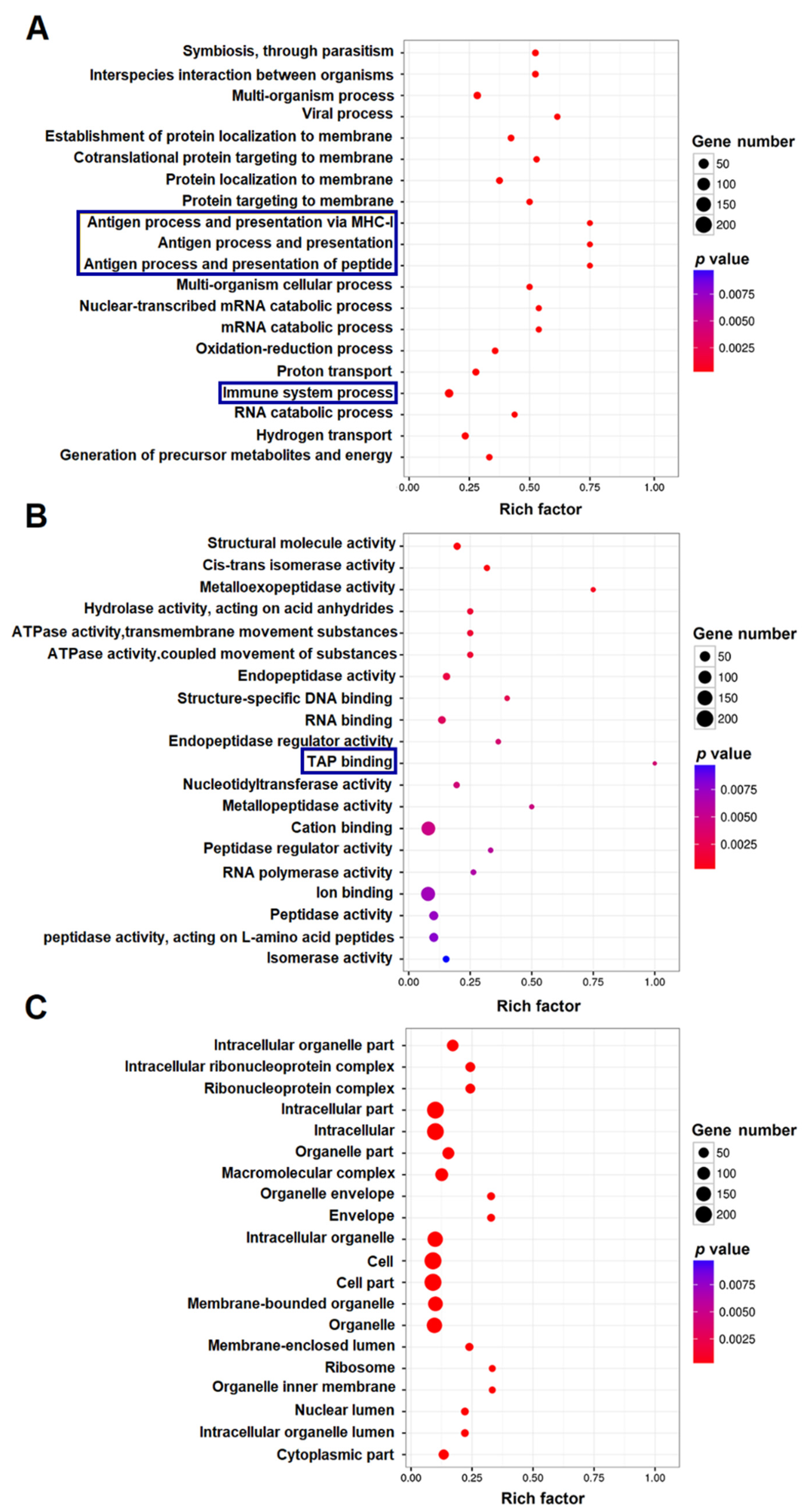 Ijms 21 03094 g004 Ijms 21 03094 g004