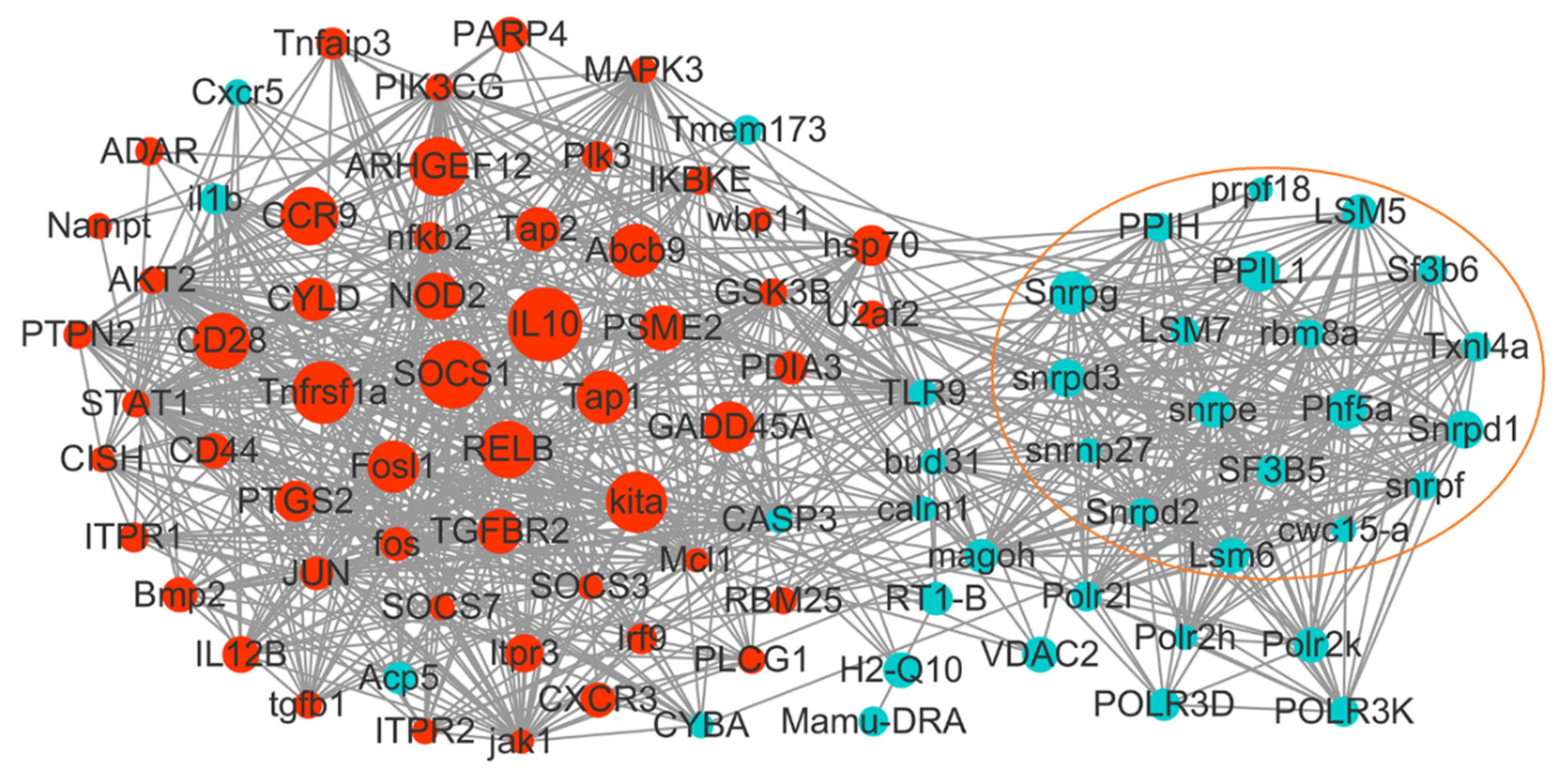 Ijms 21 03094 g005 Ijms 21 03094 g005