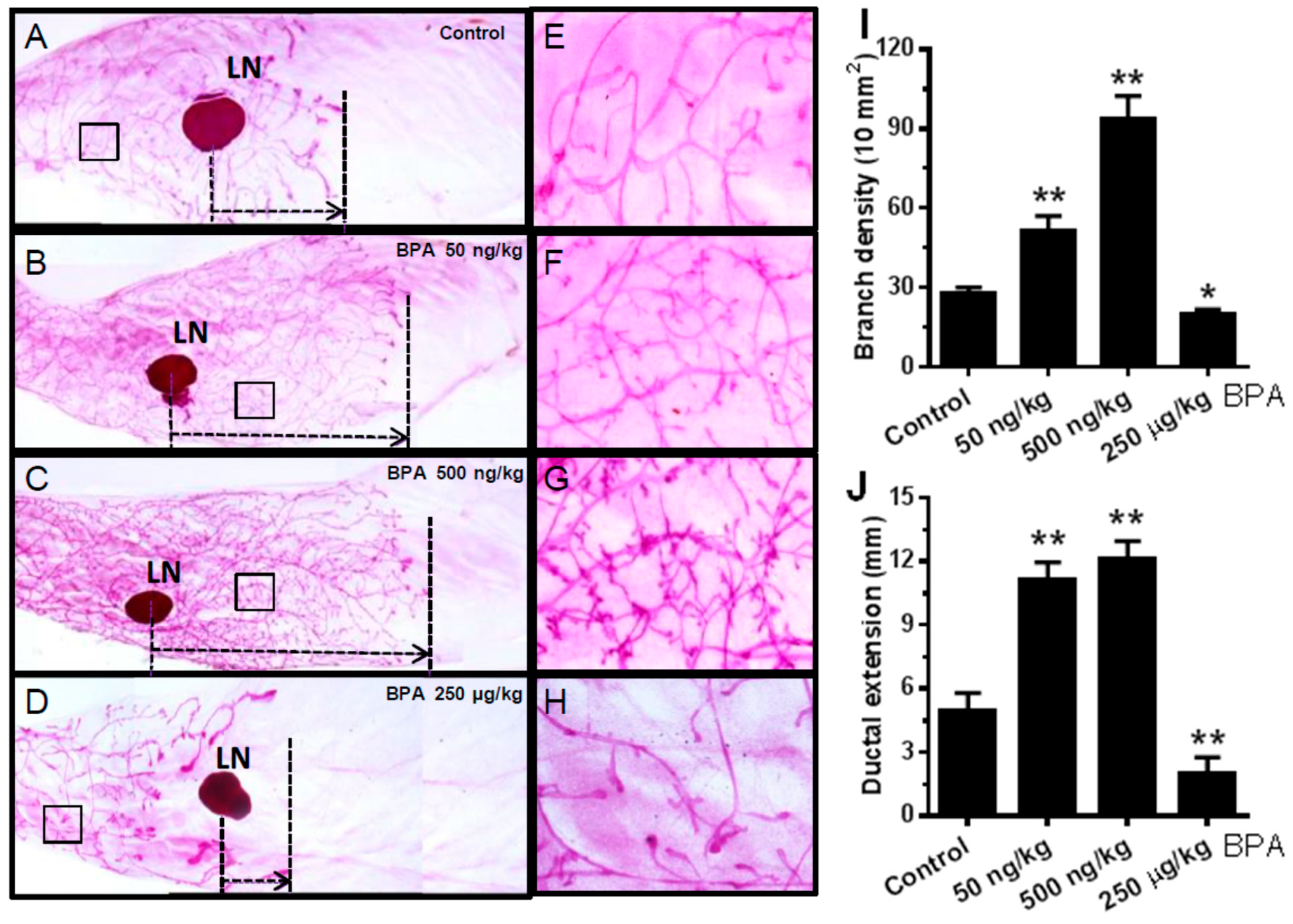 Ijms 21 03095 g003 Ijms 21 03095 g003