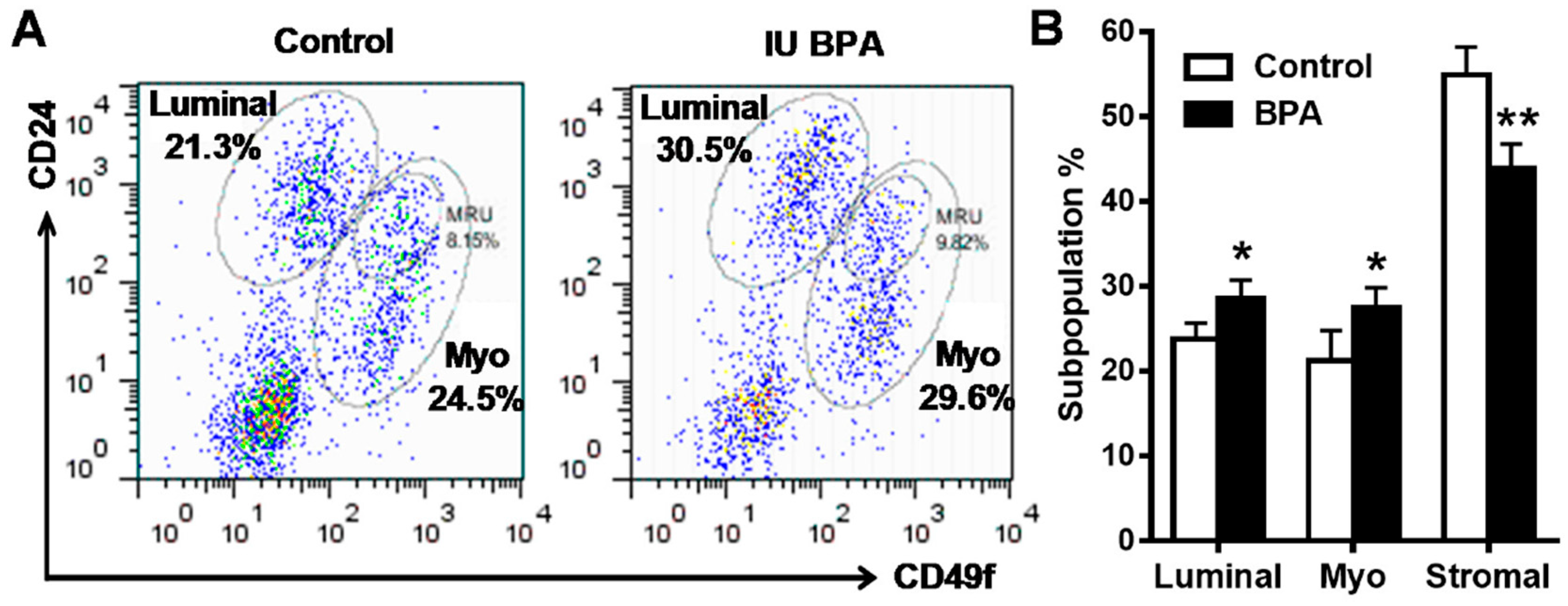 Ijms 21 03095 g004 Ijms 21 03095 g004