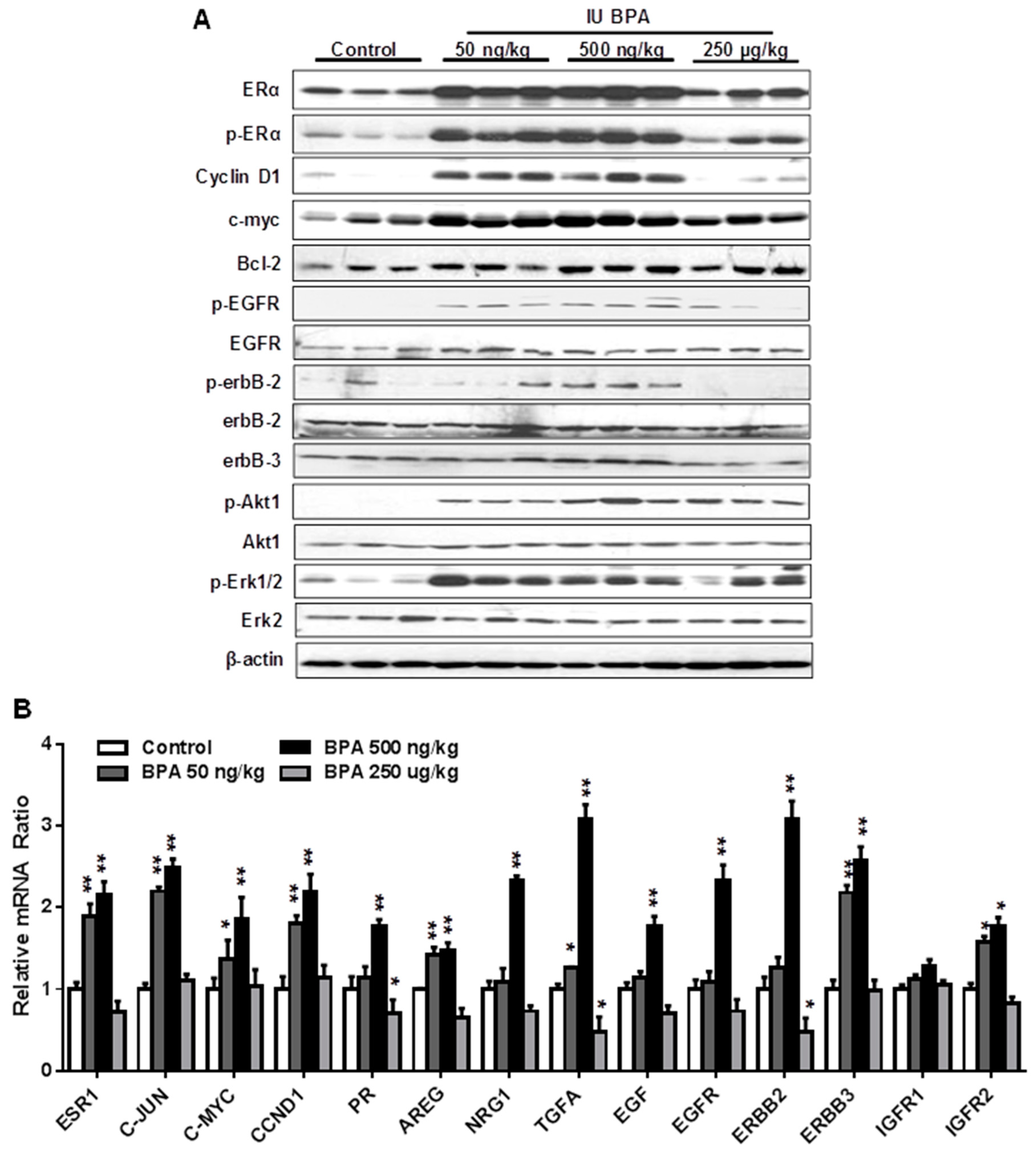 Ijms 21 03095 g005 Ijms 21 03095 g005