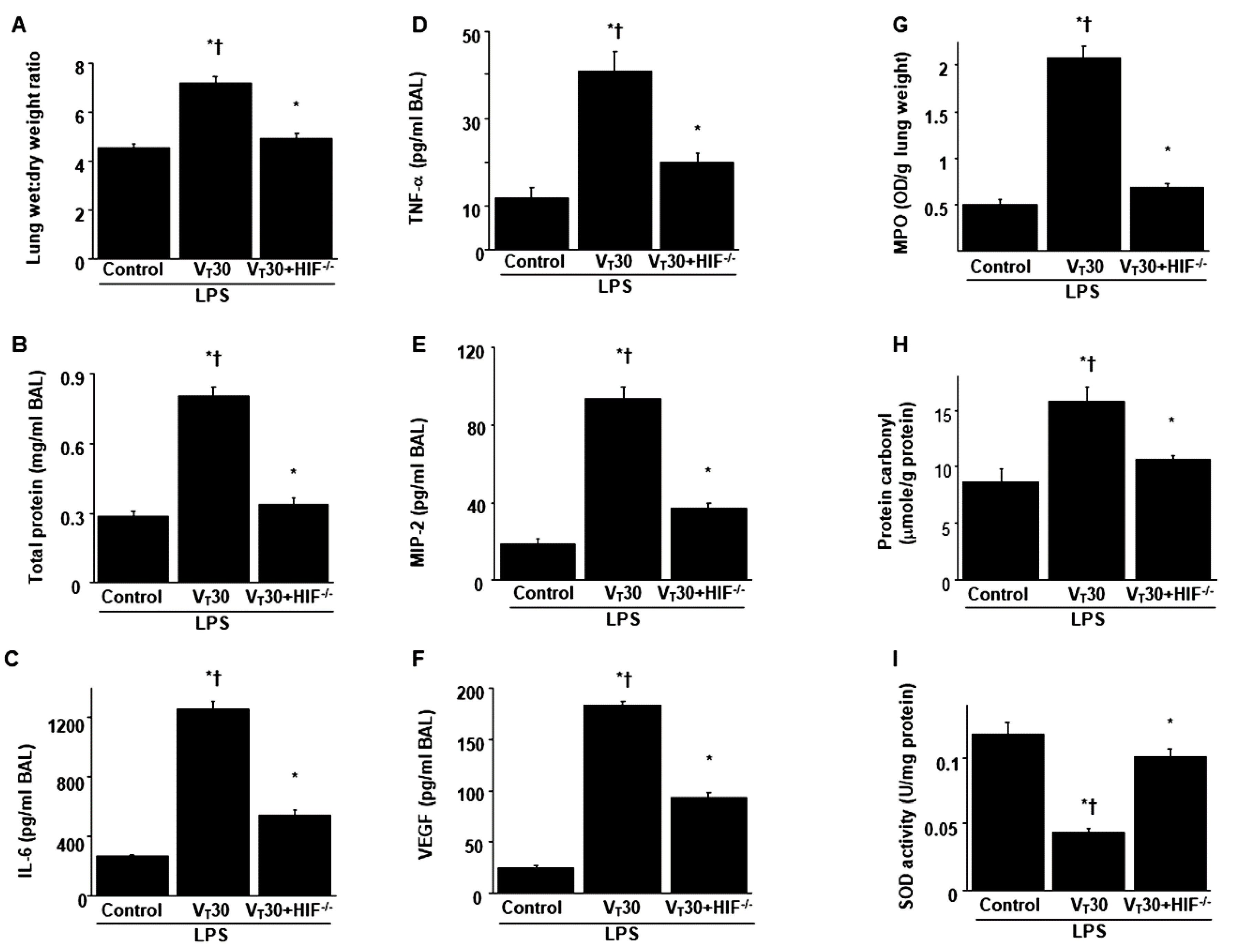 Ijms 21 03097 g005 Ijms 21 03097 g005
