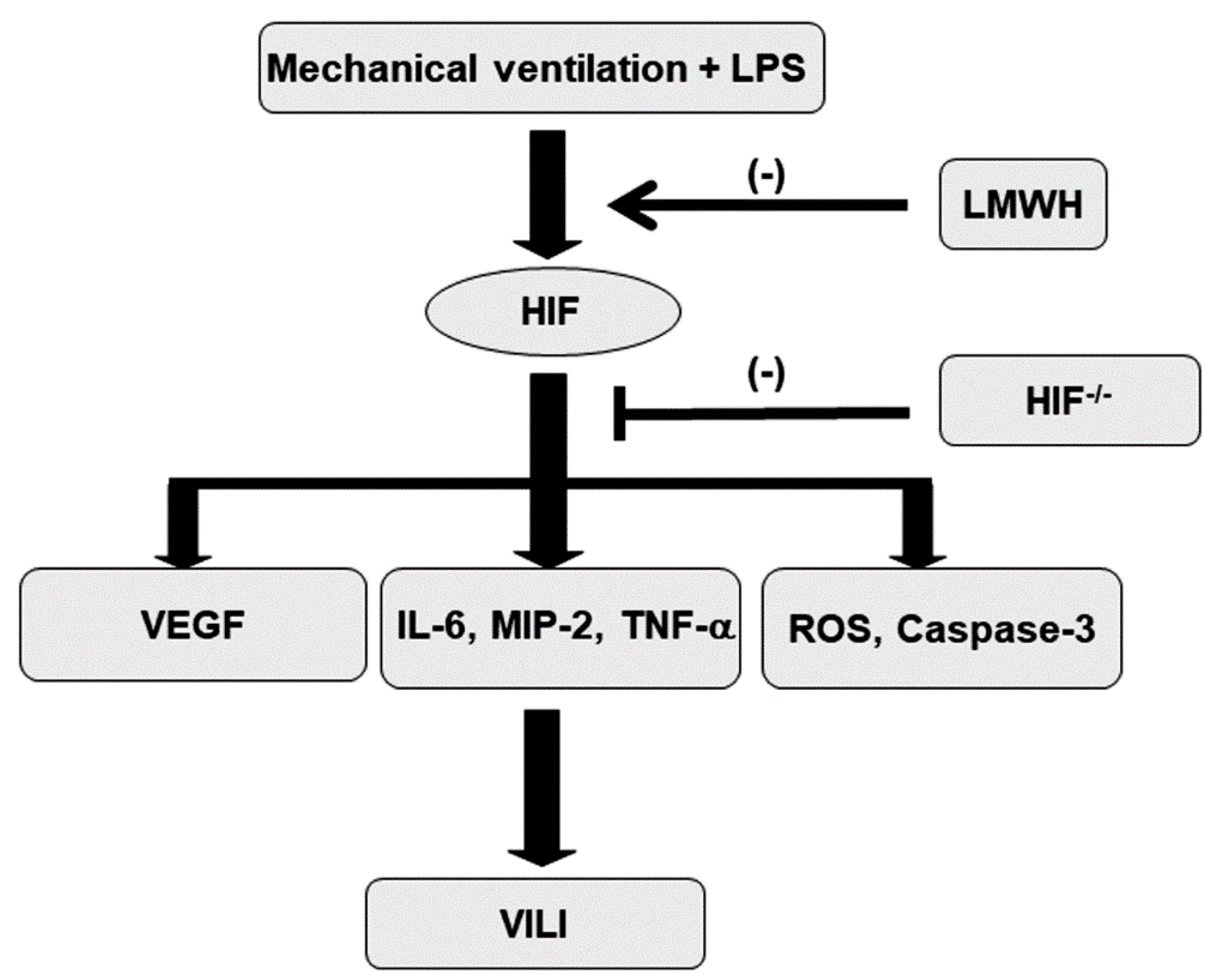 Ijms 21 03097 g008 Ijms 21 03097 g008