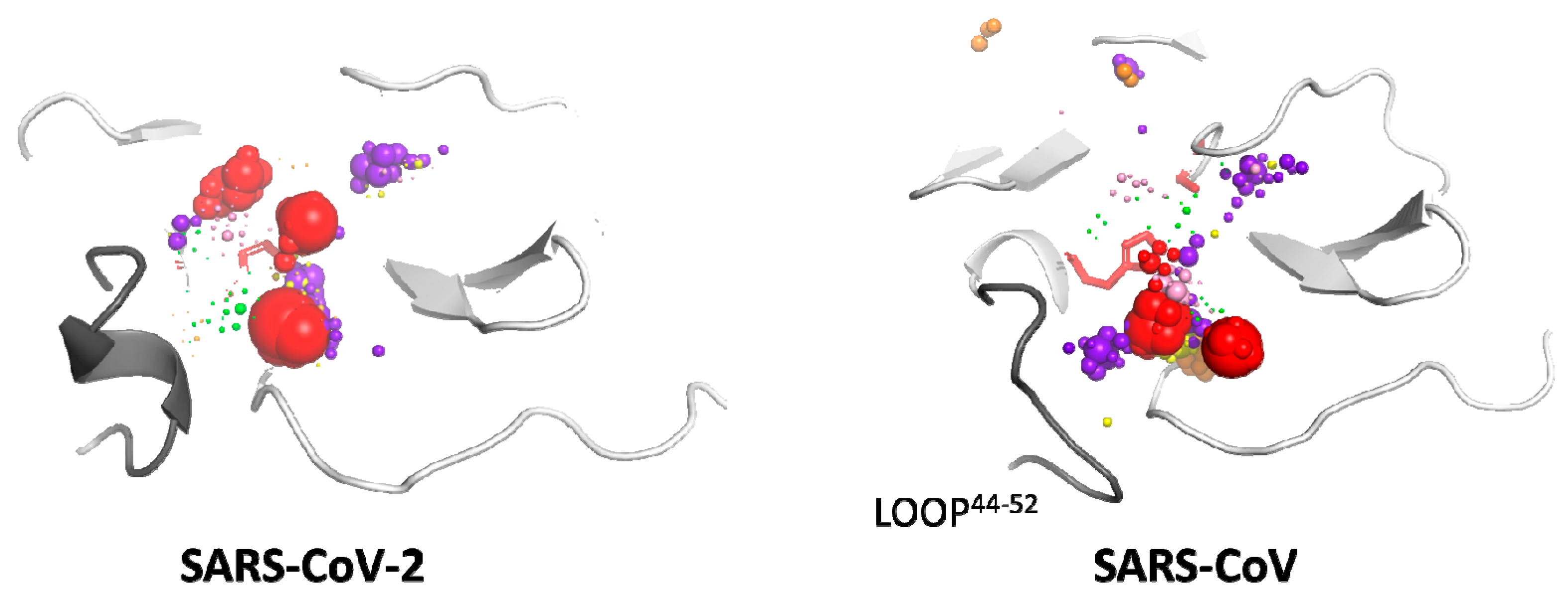 Ijms 21 03099 g004 Ijms 21 03099 g004