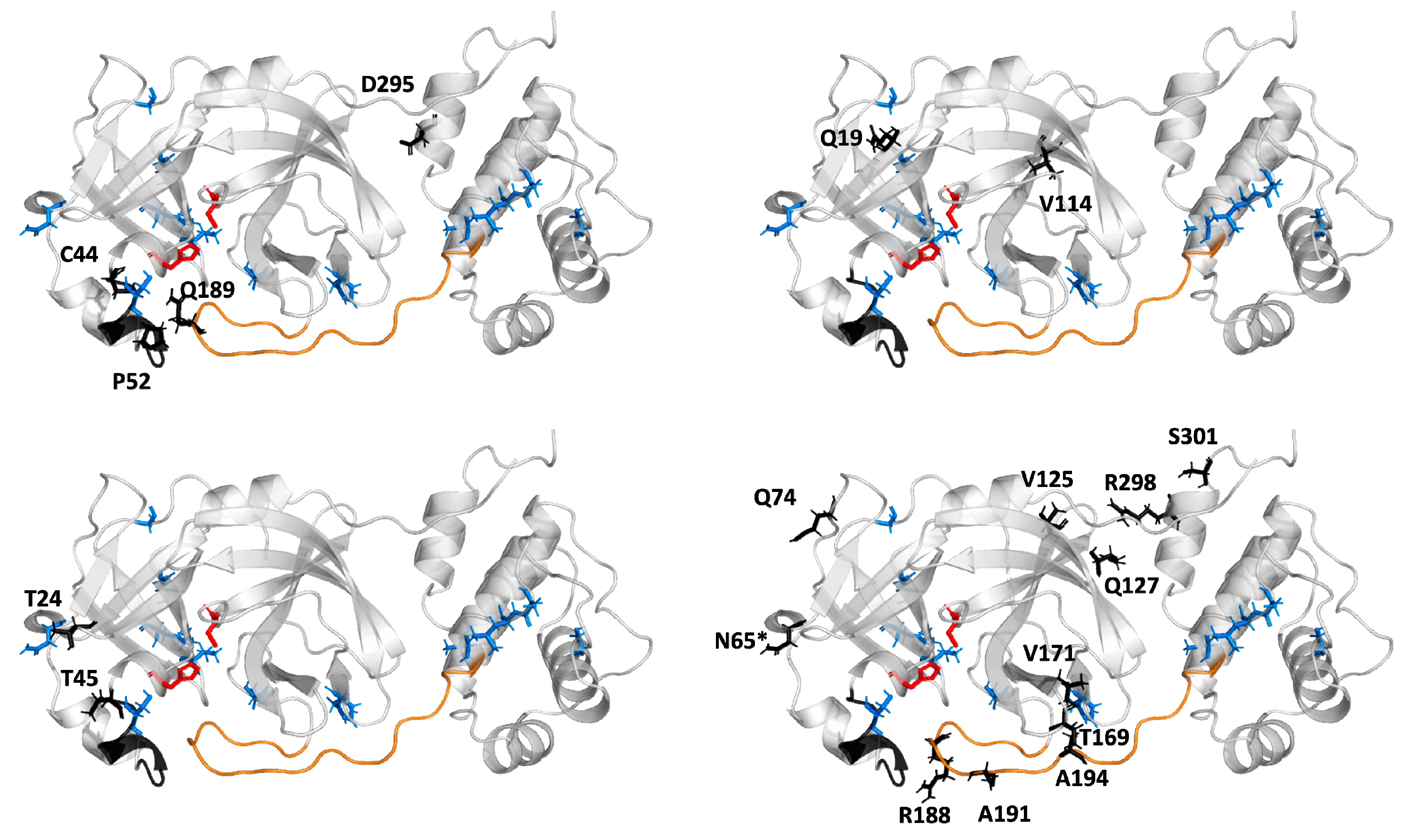 Ijms 21 03099 g005 Ijms 21 03099 g005