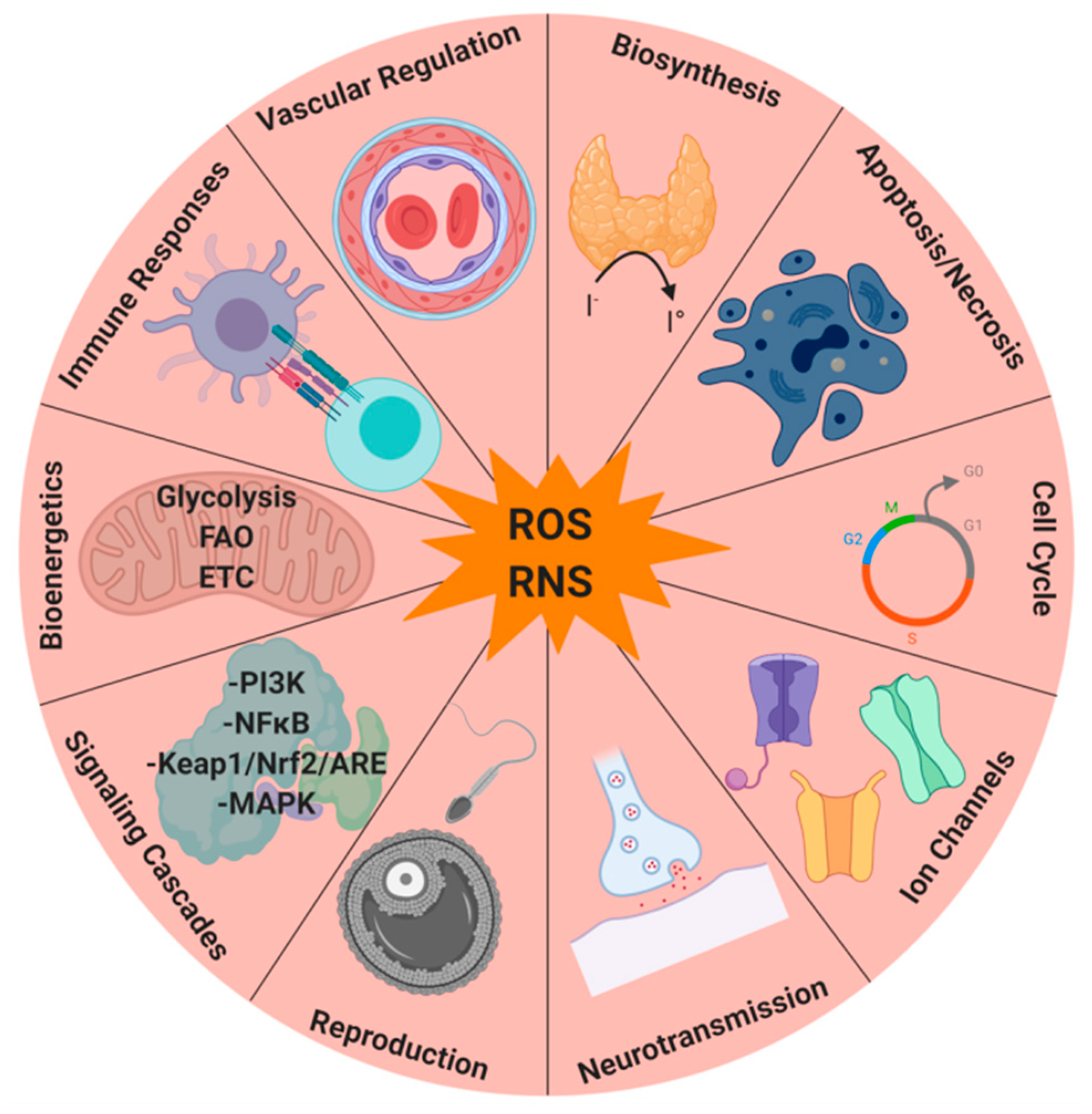 Ijms 21 03100 g002 Ijms 21 03100 g002