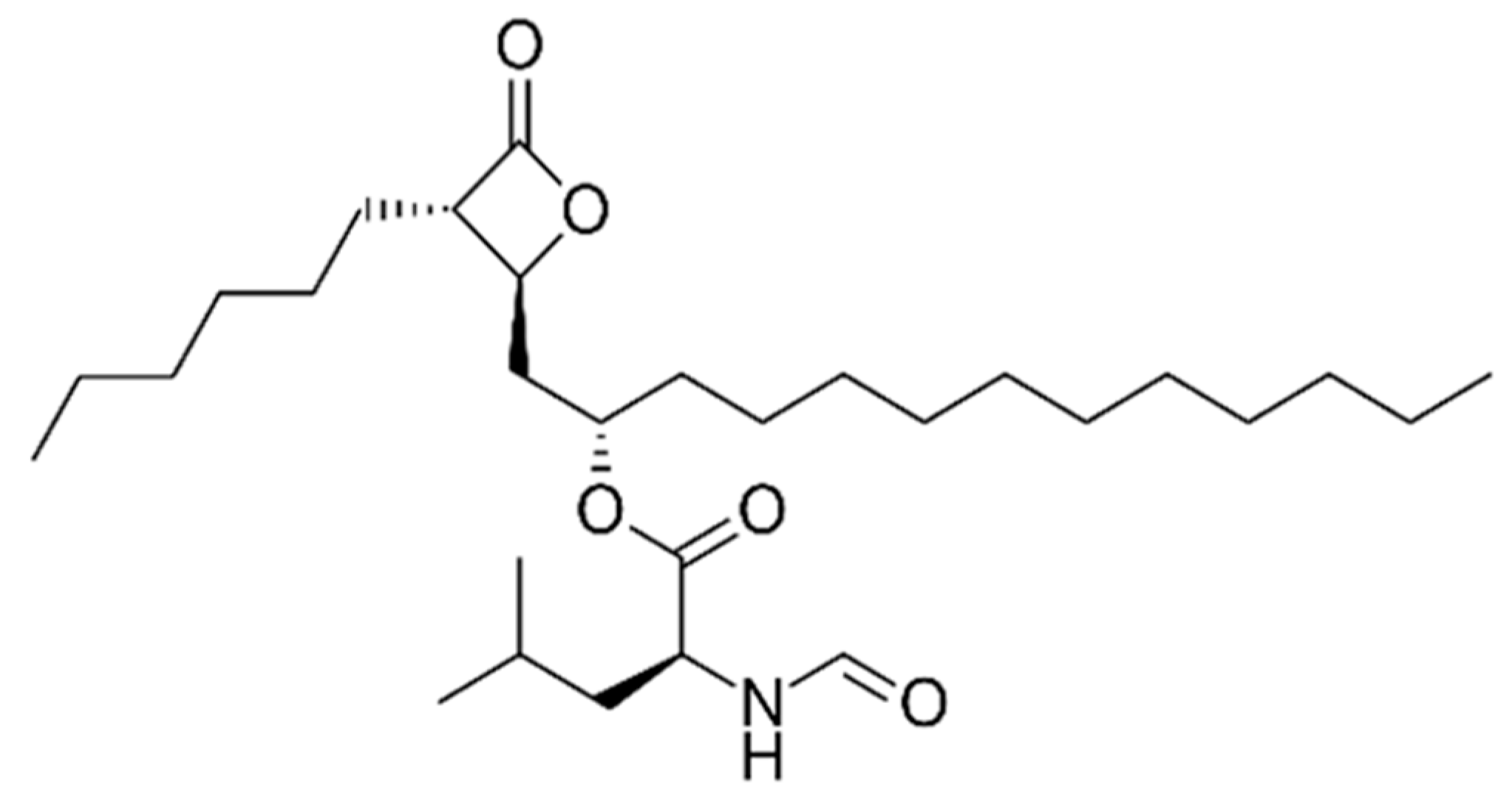 Ijms 21 03100 g006 Ijms 21 03100 g006