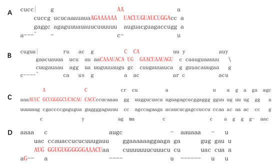 オーダー専用ページ トートバッグ20L（トートバッグ）｜ASICS（アシックス）の