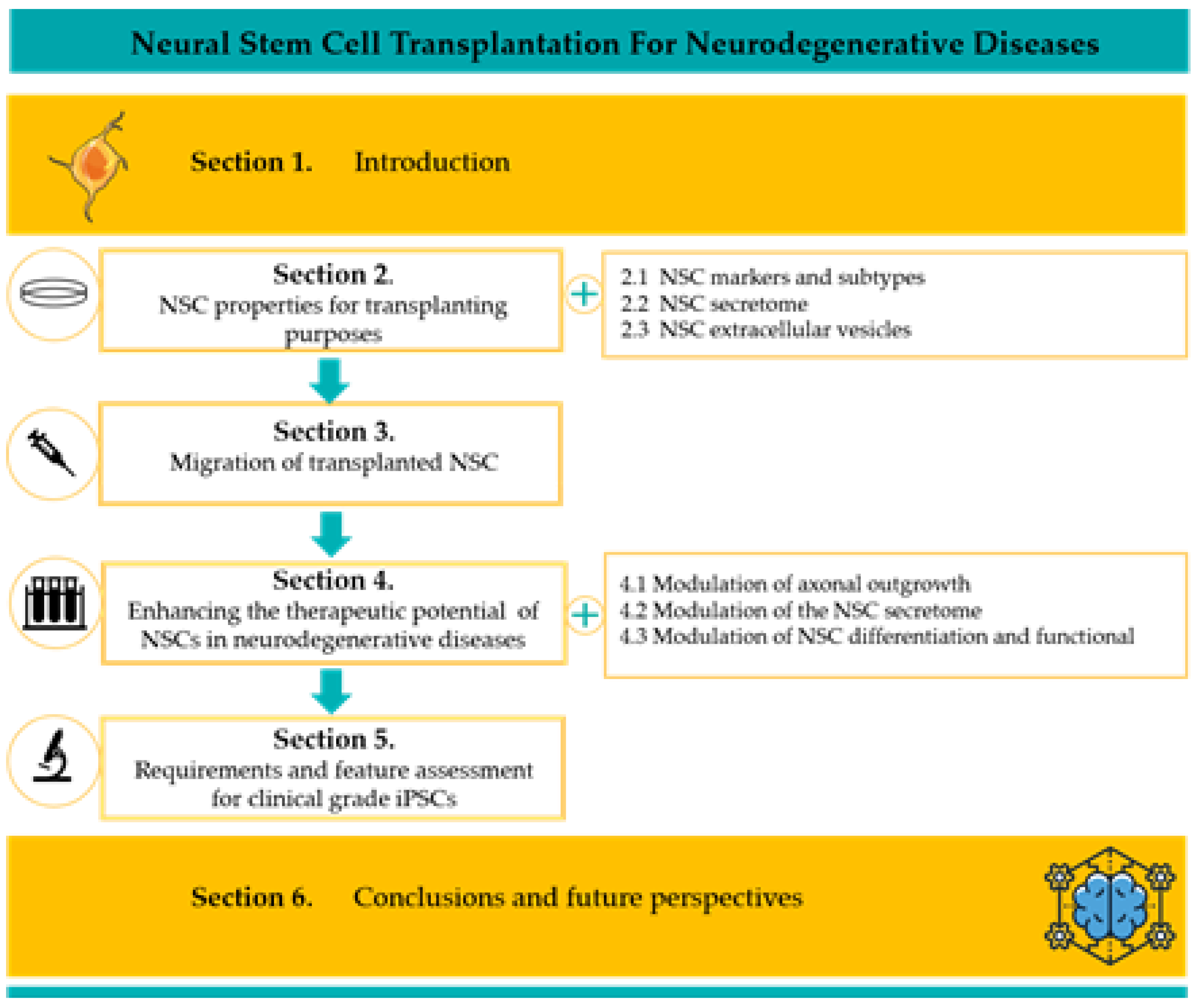 Ijms 21 03103 g001 Ijms 21 03103 g001
