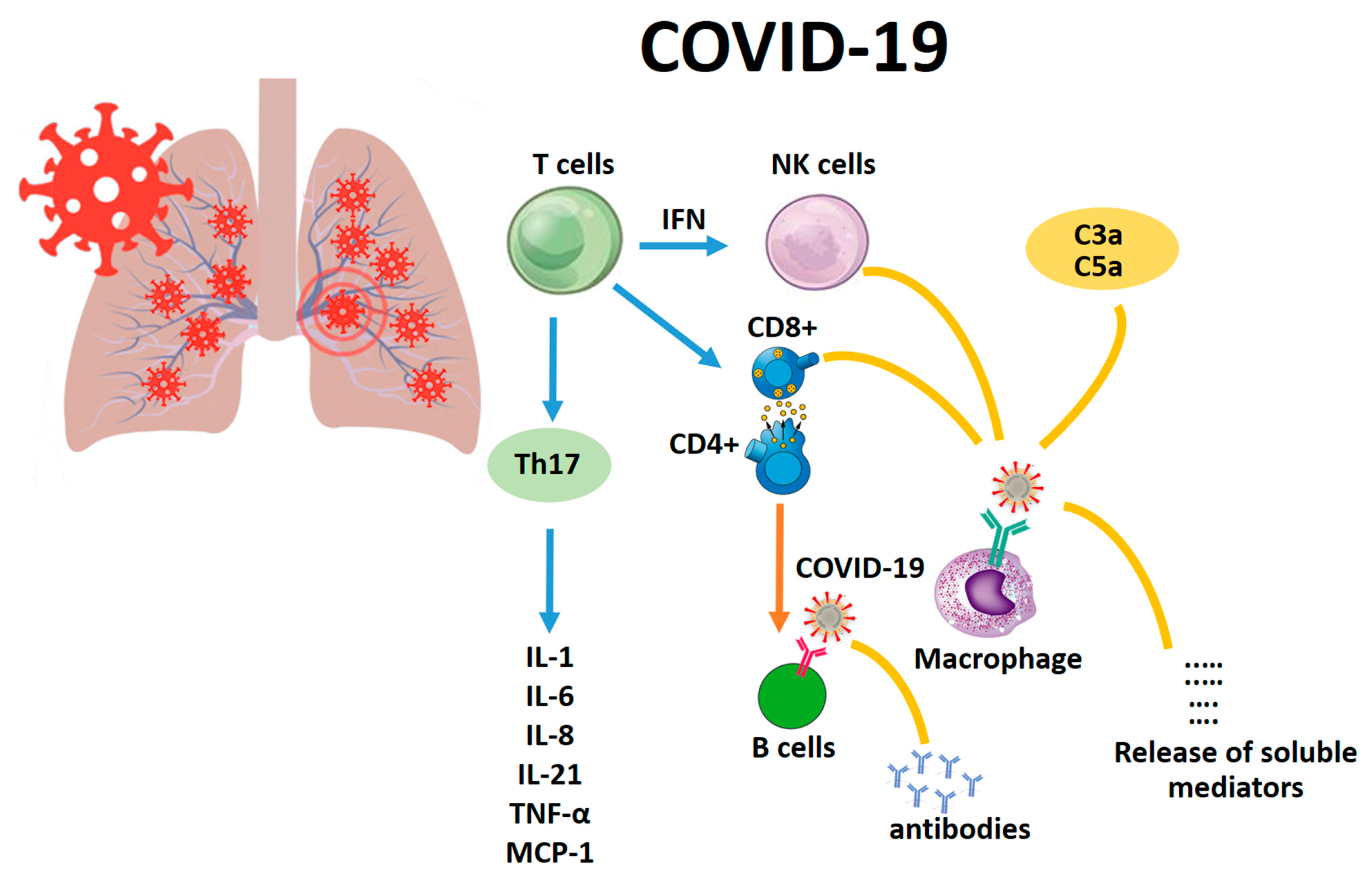 Развитие covid 19