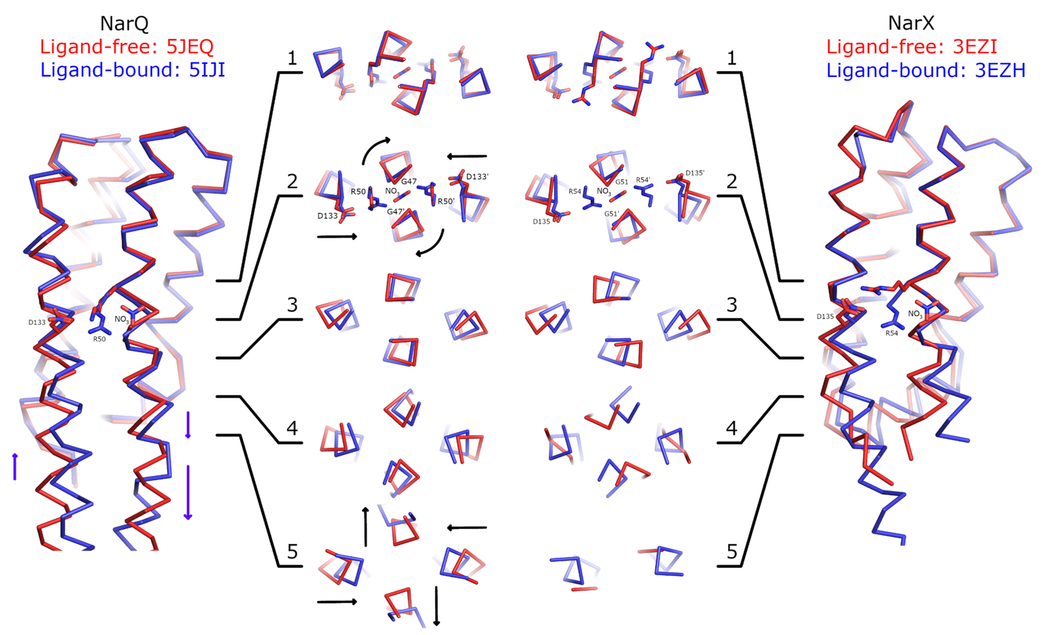 Ijms 21 03110 g002 Ijms 21 03110 g002