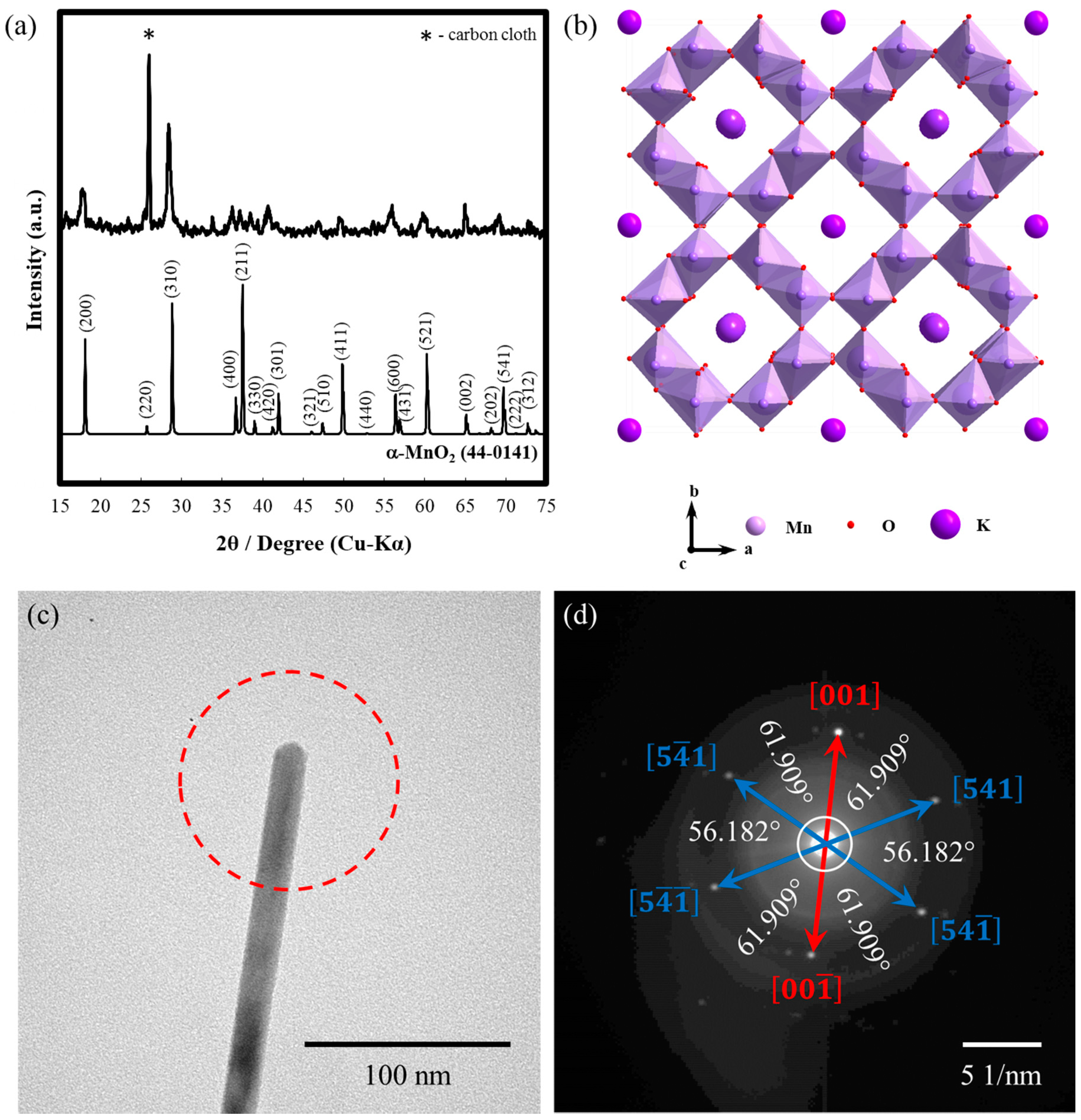 Ijms 21 03113 g002 Ijms 21 03113 g002