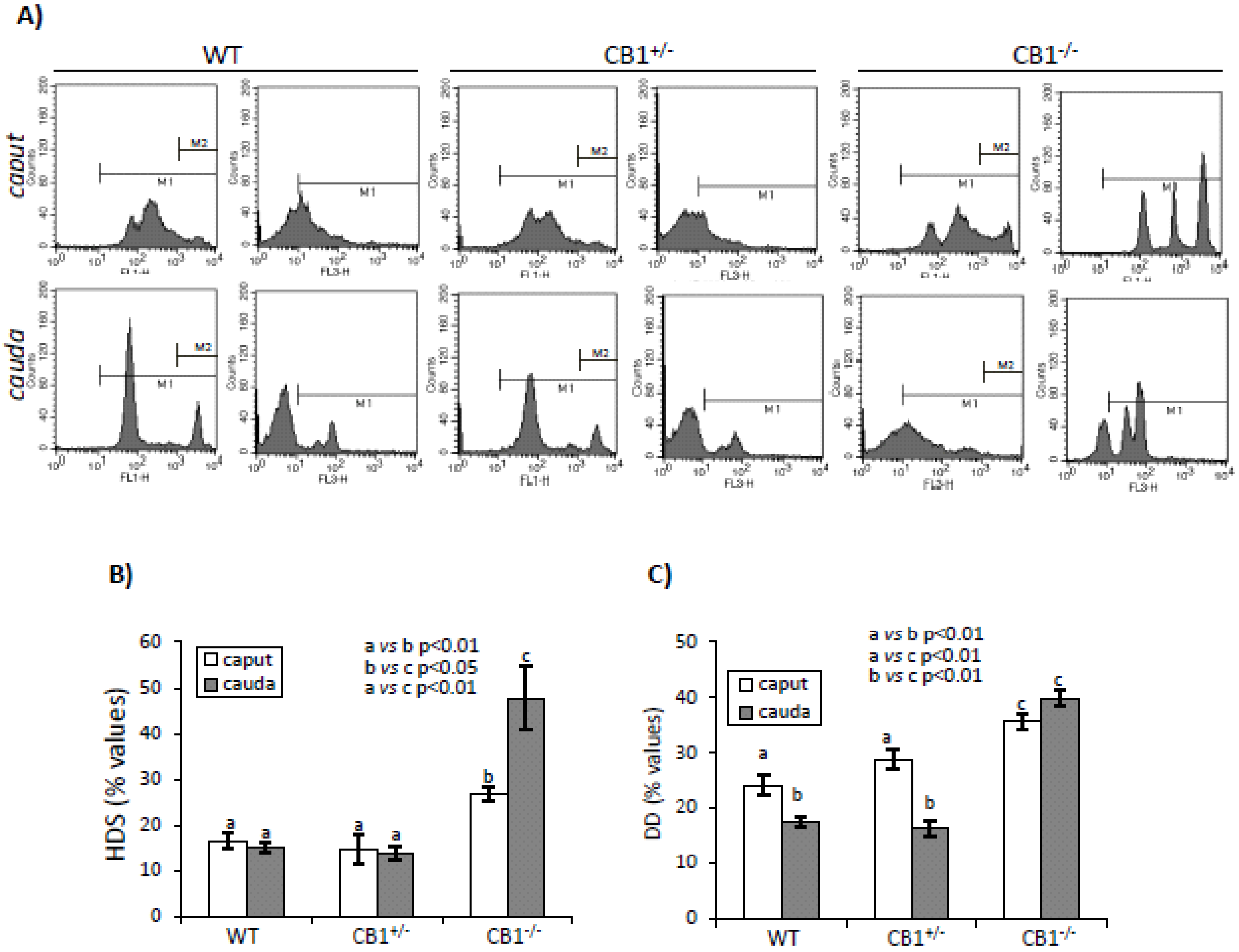 Ijms 21 03117 g001 Ijms 21 03117 g001