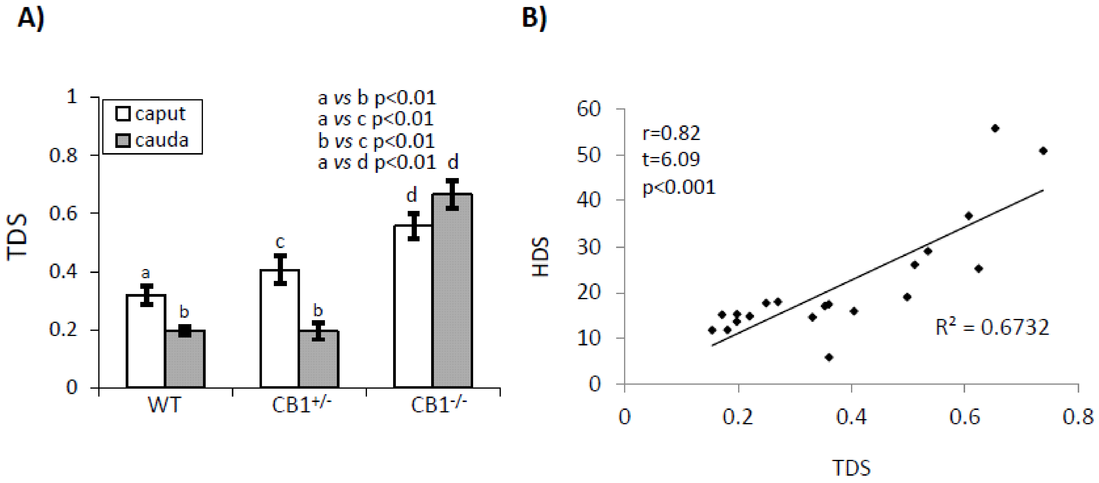 Ijms 21 03117 g002 Ijms 21 03117 g002