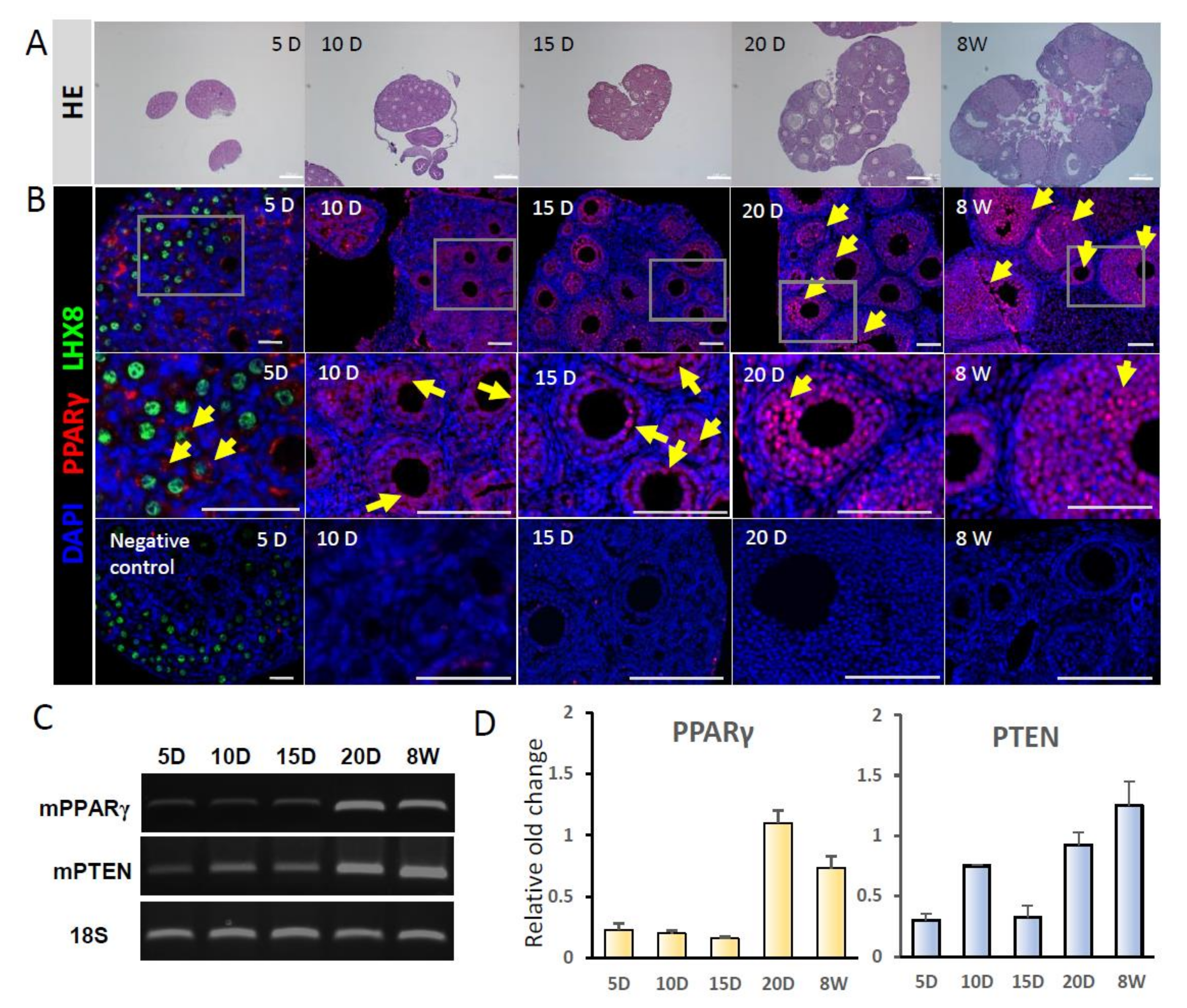 Ijms 21 03120 g002 Ijms 21 03120 g002