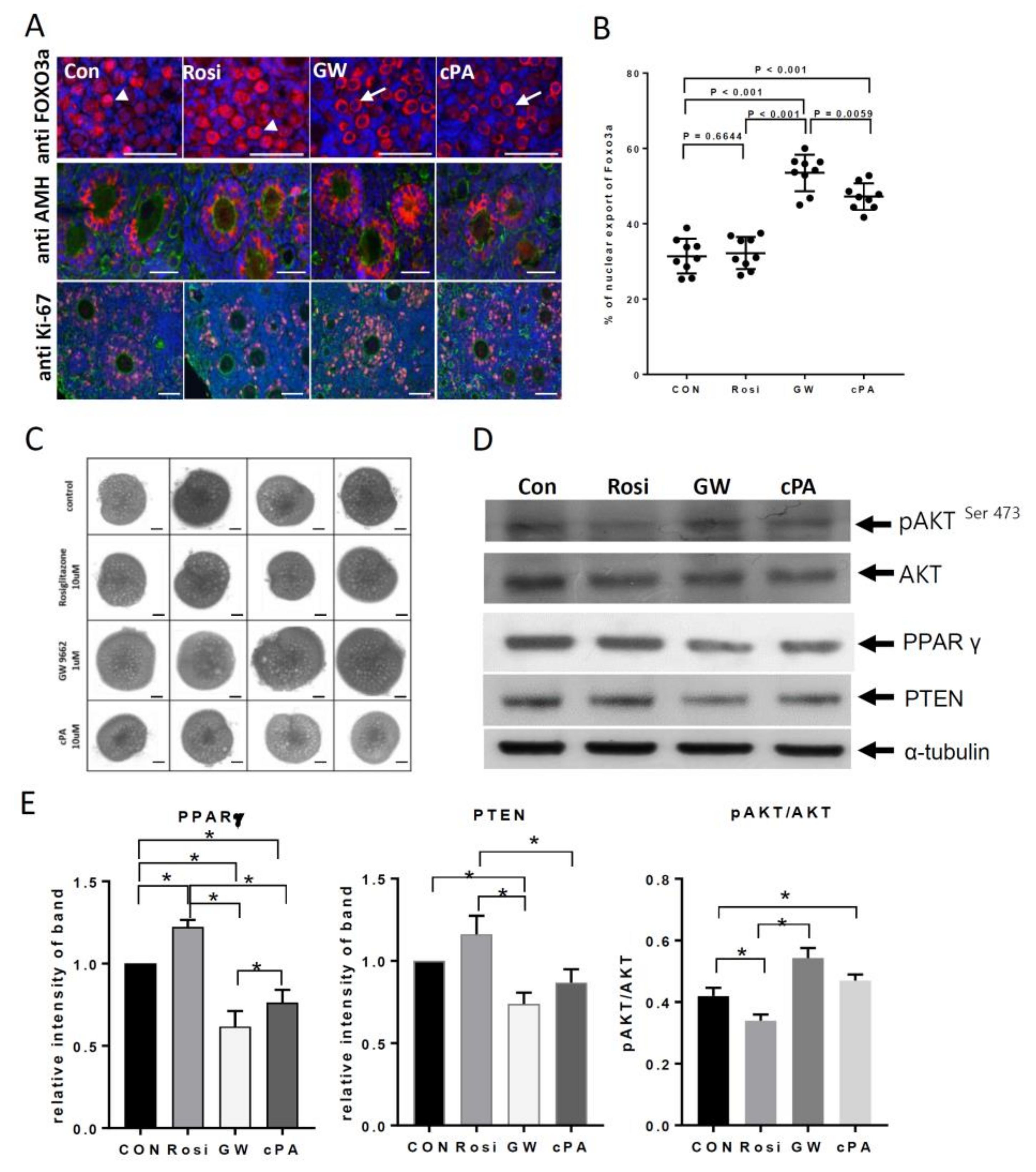 Ijms 21 03120 g003 Ijms 21 03120 g003