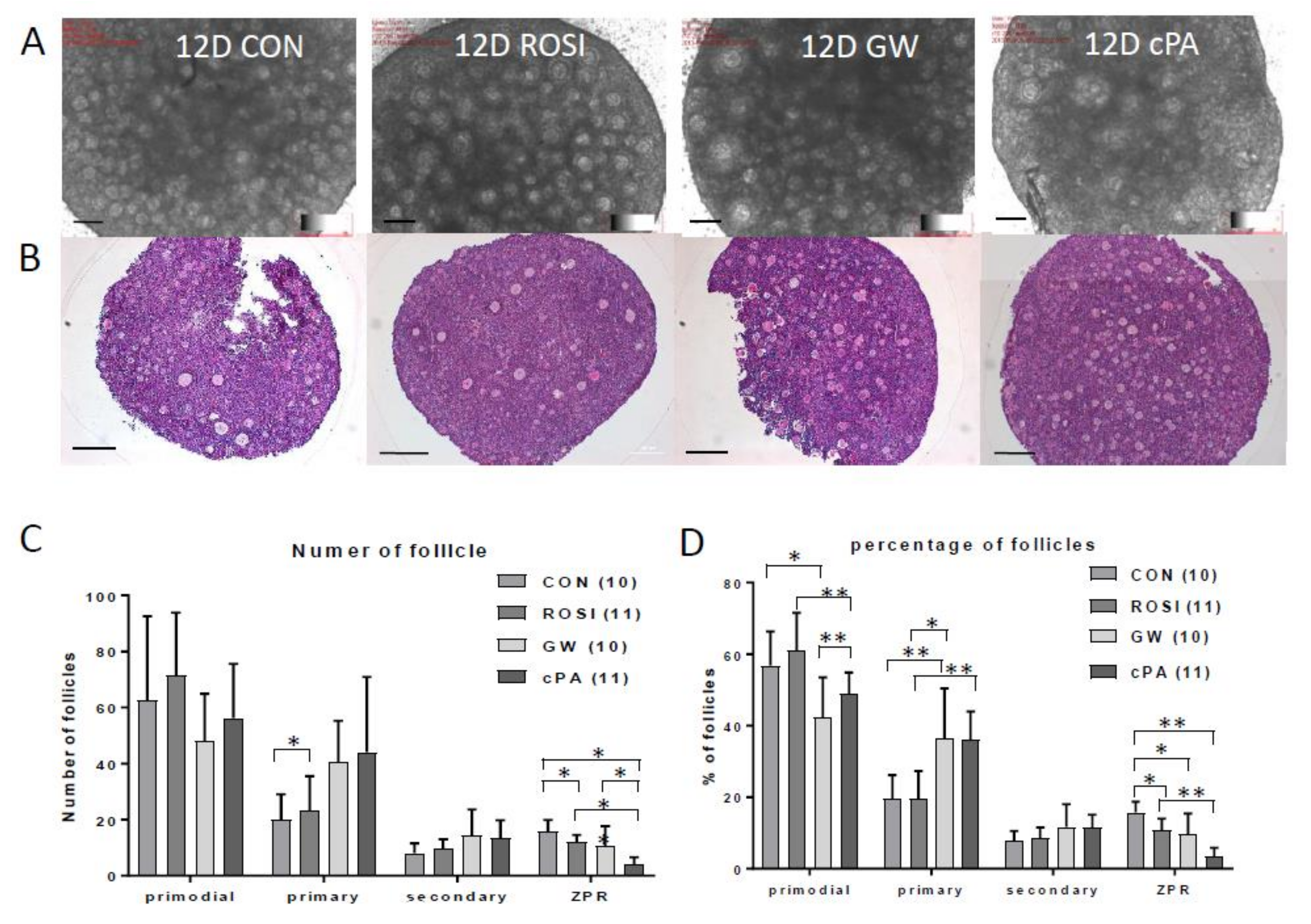 Ijms 21 03120 g004 Ijms 21 03120 g004