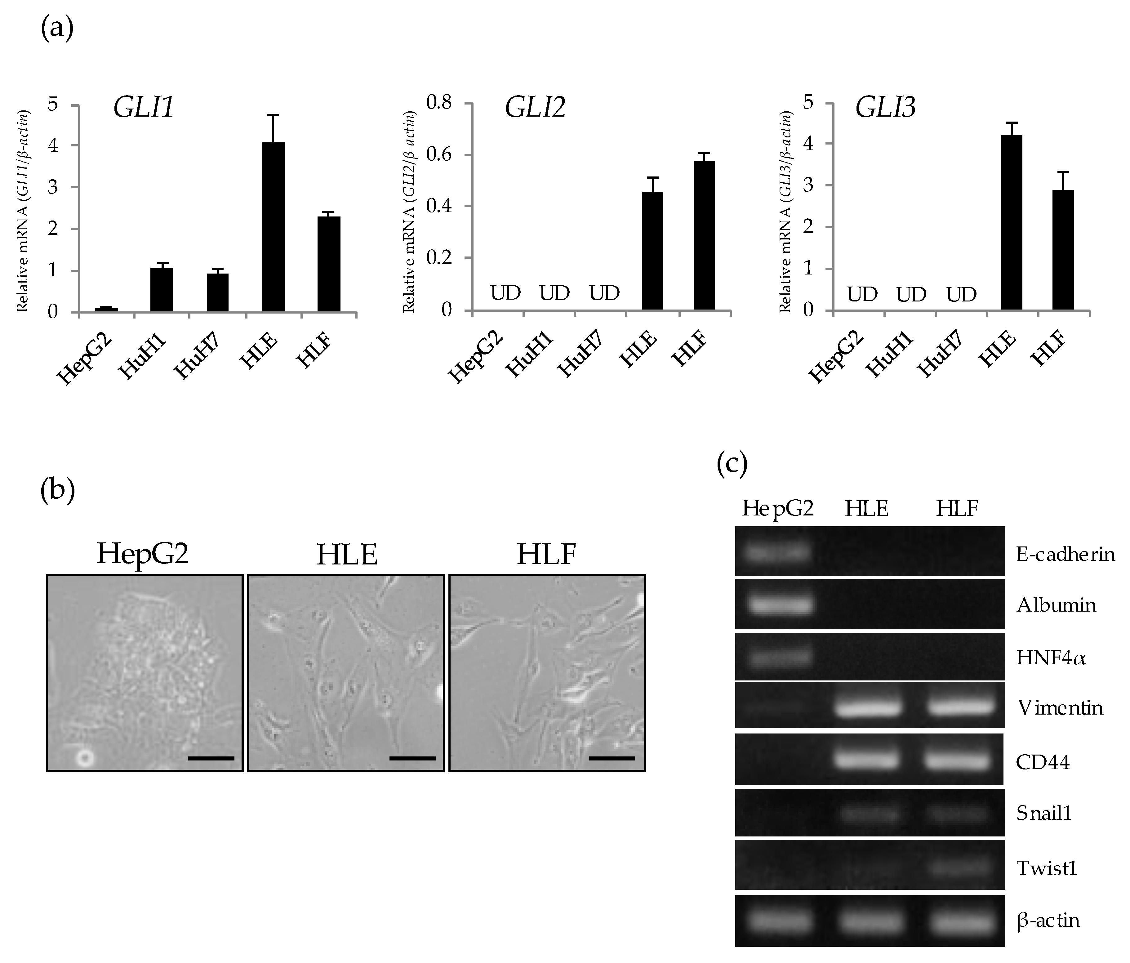 Ijms 21 03126 g001 Ijms 21 03126 g001