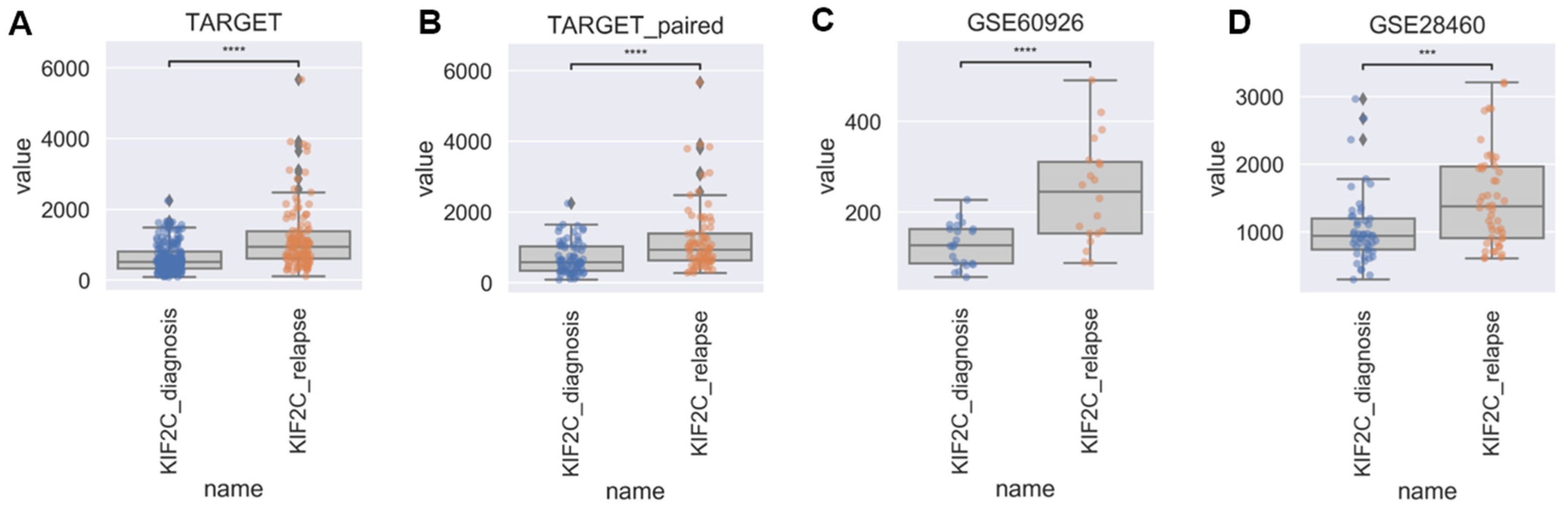Ijms 21 03127 g001 Ijms 21 03127 g001