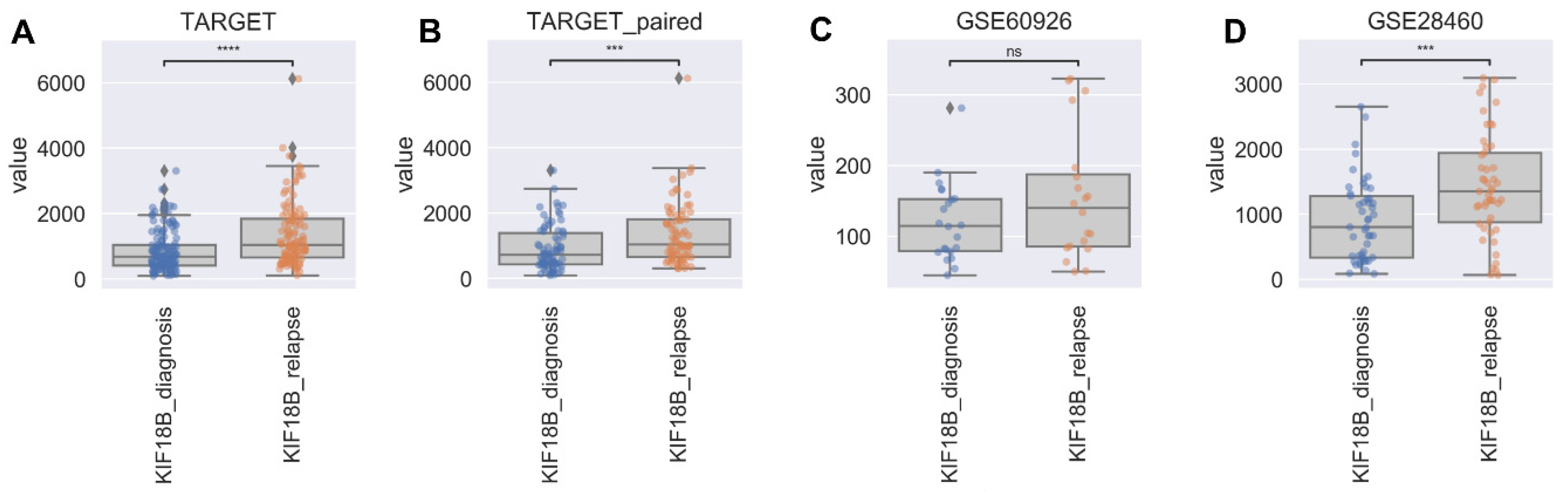 Ijms 21 03127 g002 Ijms 21 03127 g002