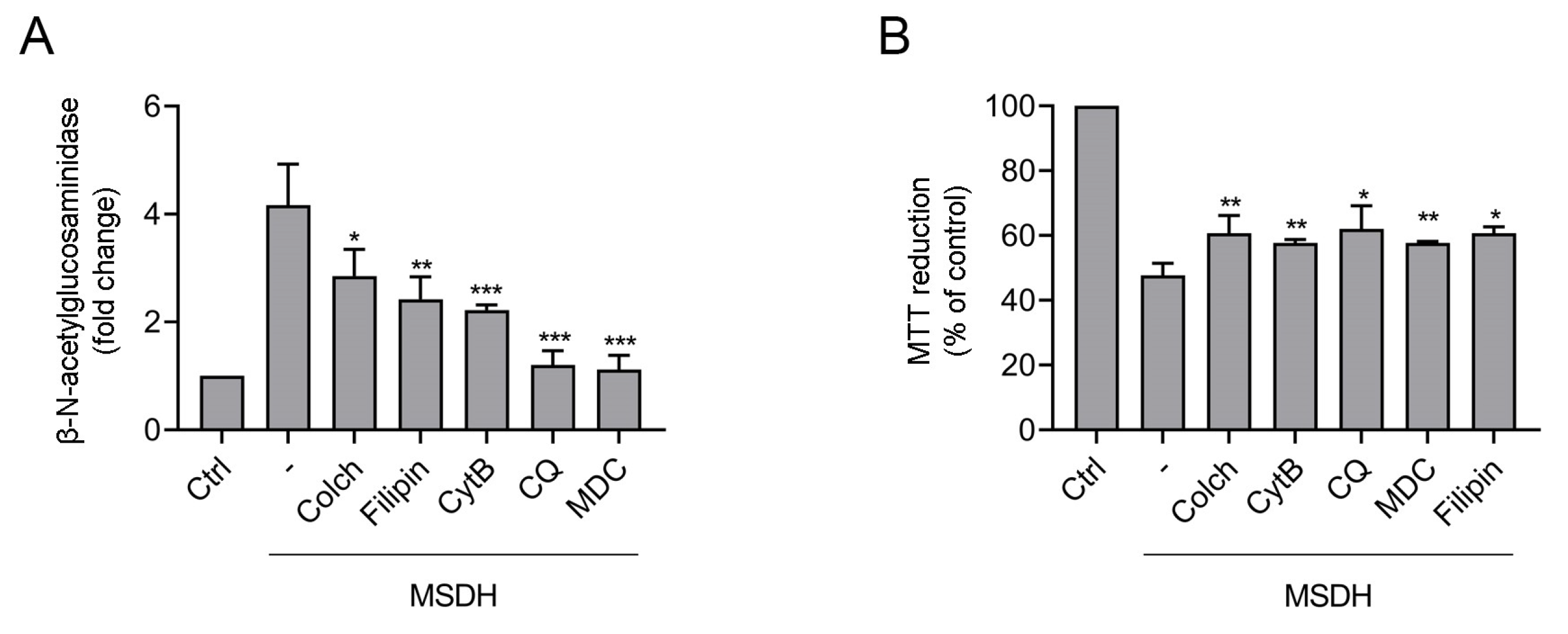 Ijms 21 03136 g007 Ijms 21 03136 g007