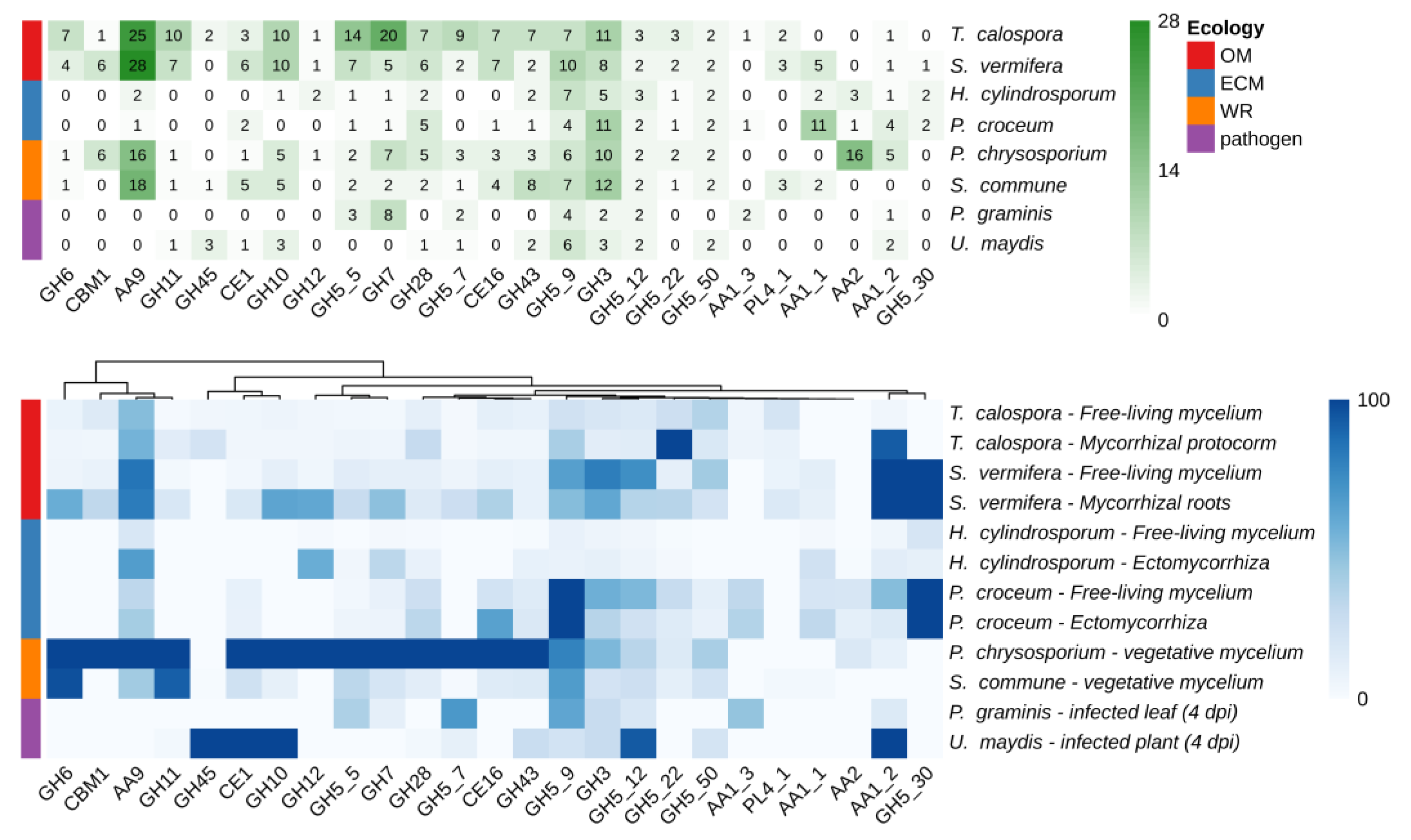 Ijms 21 03139 g003 Ijms 21 03139 g003