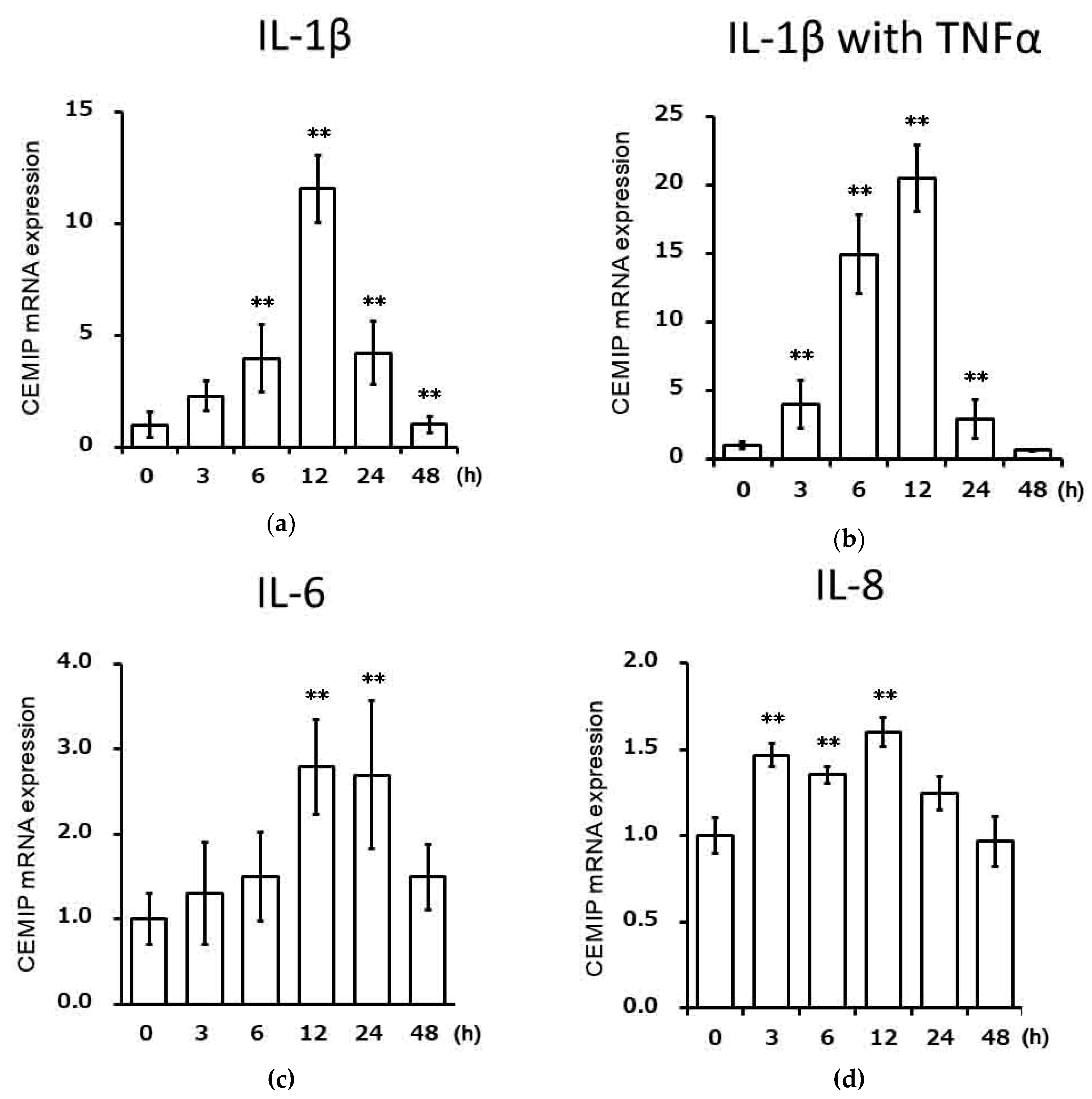 Ijms 21 03140 g002 Ijms 21 03140 g002
