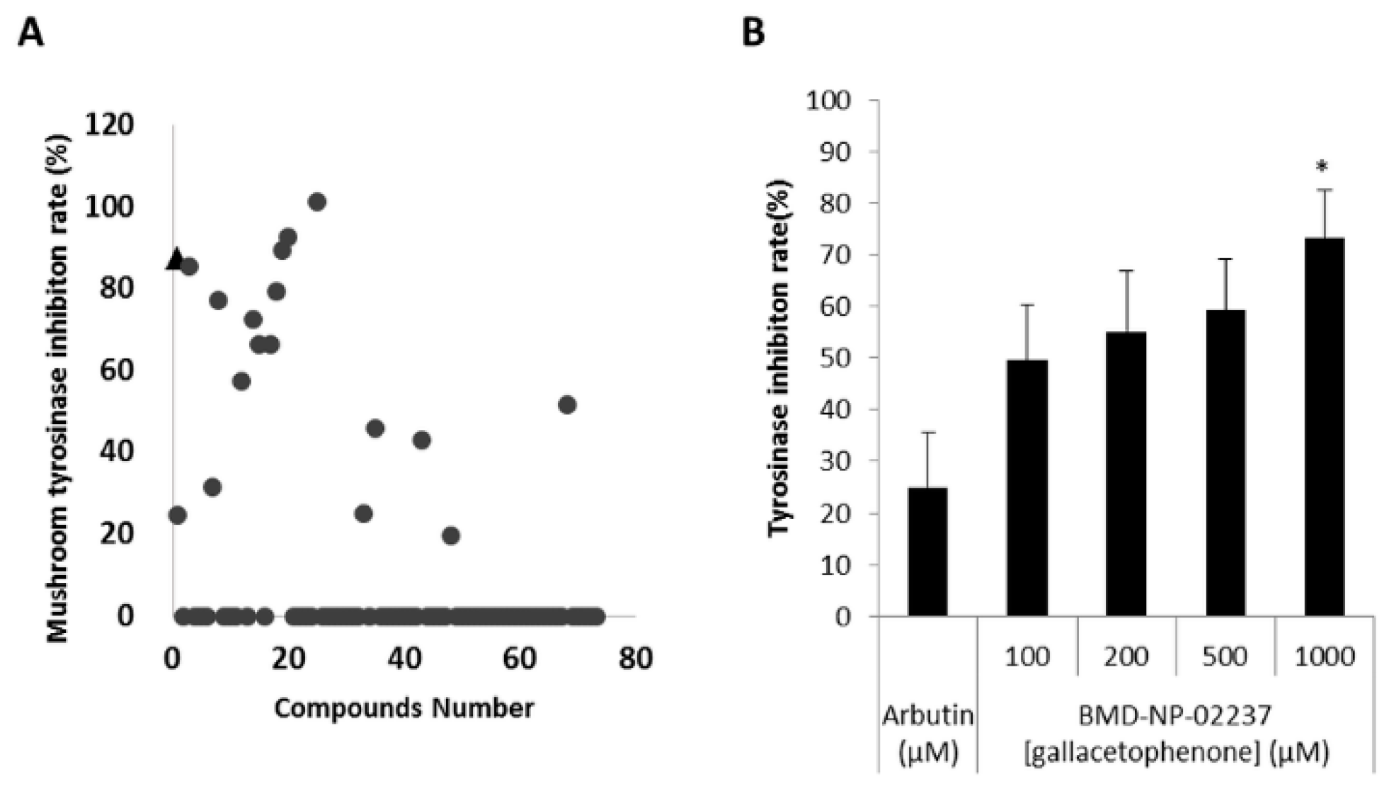 Ijms 21 03144 g002a Ijms 21 03144 g002a