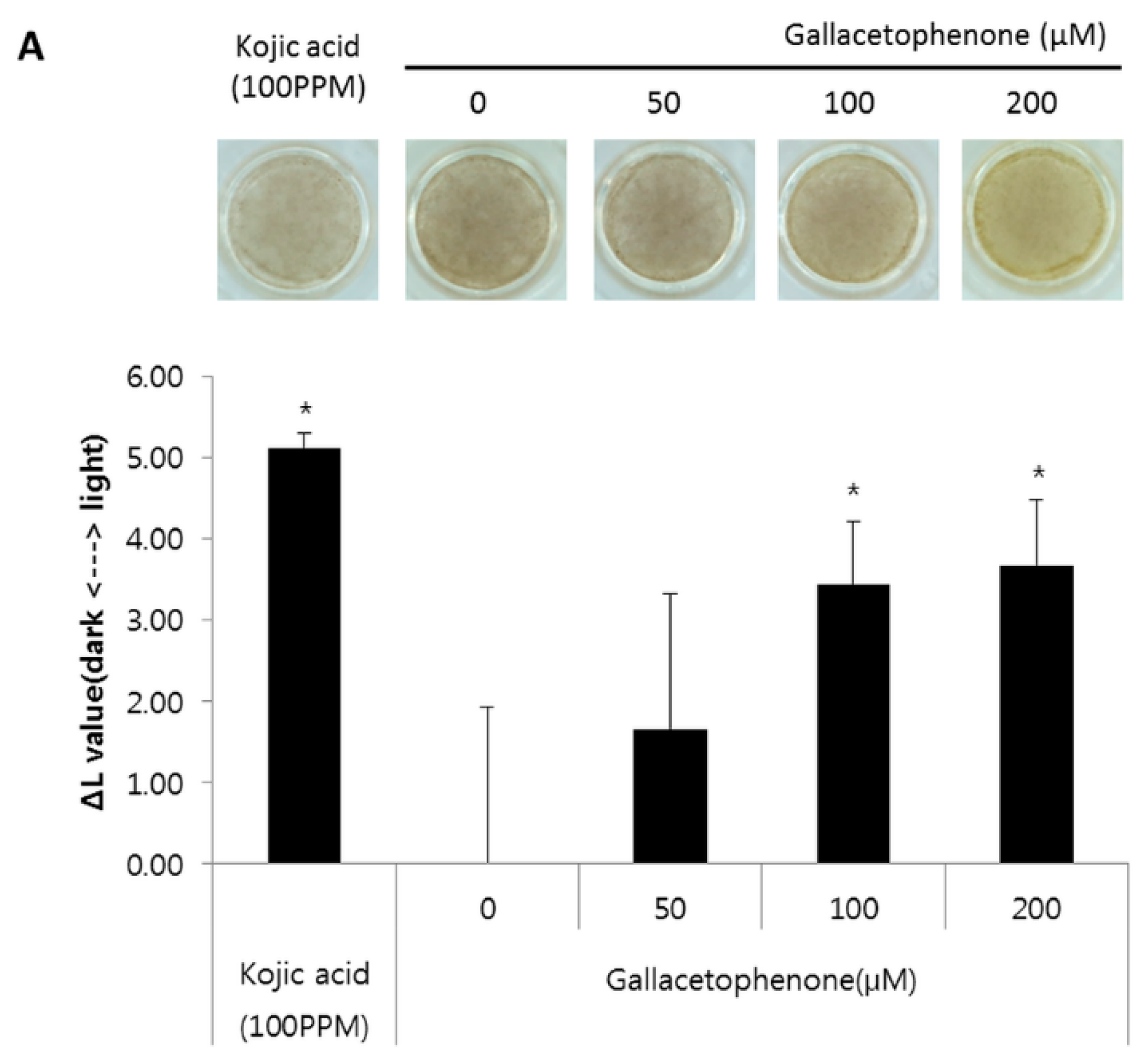 Ijms 21 03144 g004a Ijms 21 03144 g004a