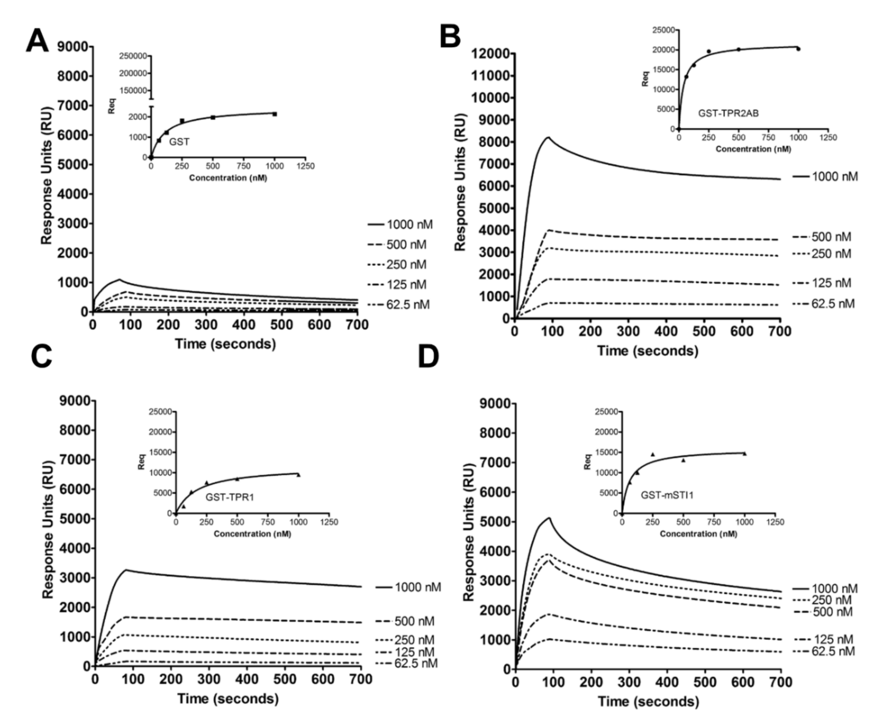 Ijms 21 03152 g002 Ijms 21 03152 g002