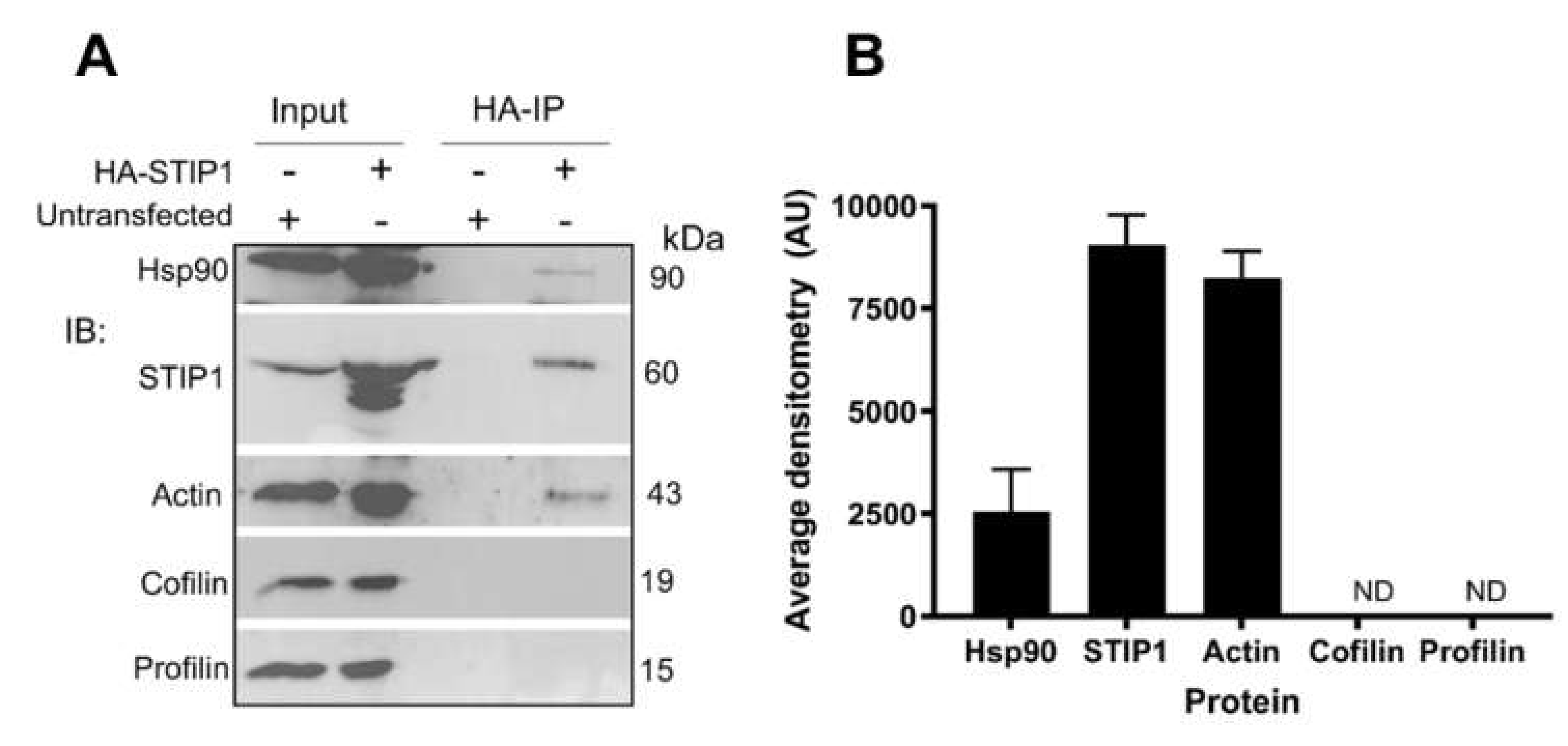 Ijms 21 03152 g006 Ijms 21 03152 g006
