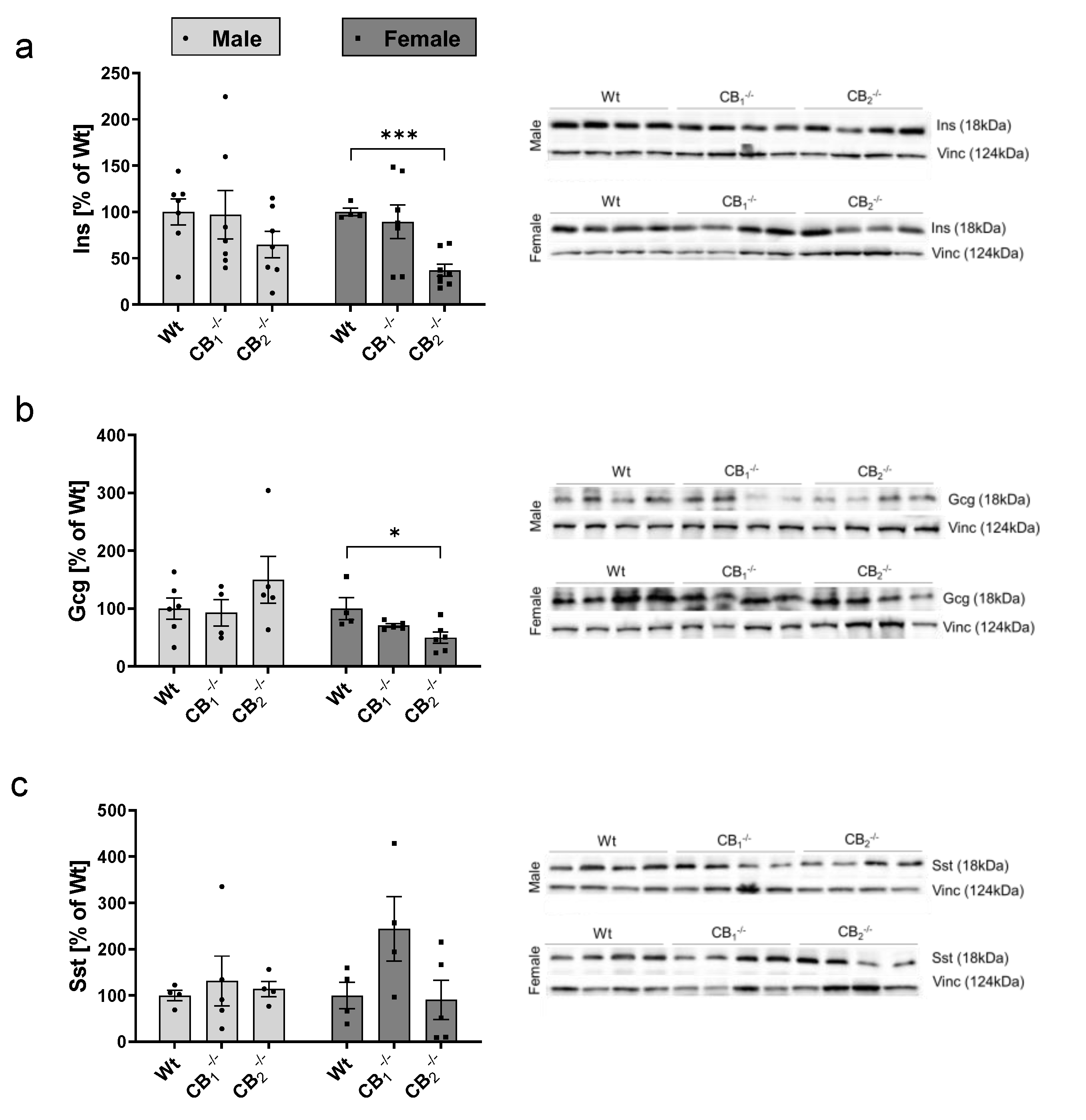 Ijms 21 03168 g0a2 Ijms 21 03168 g0a2