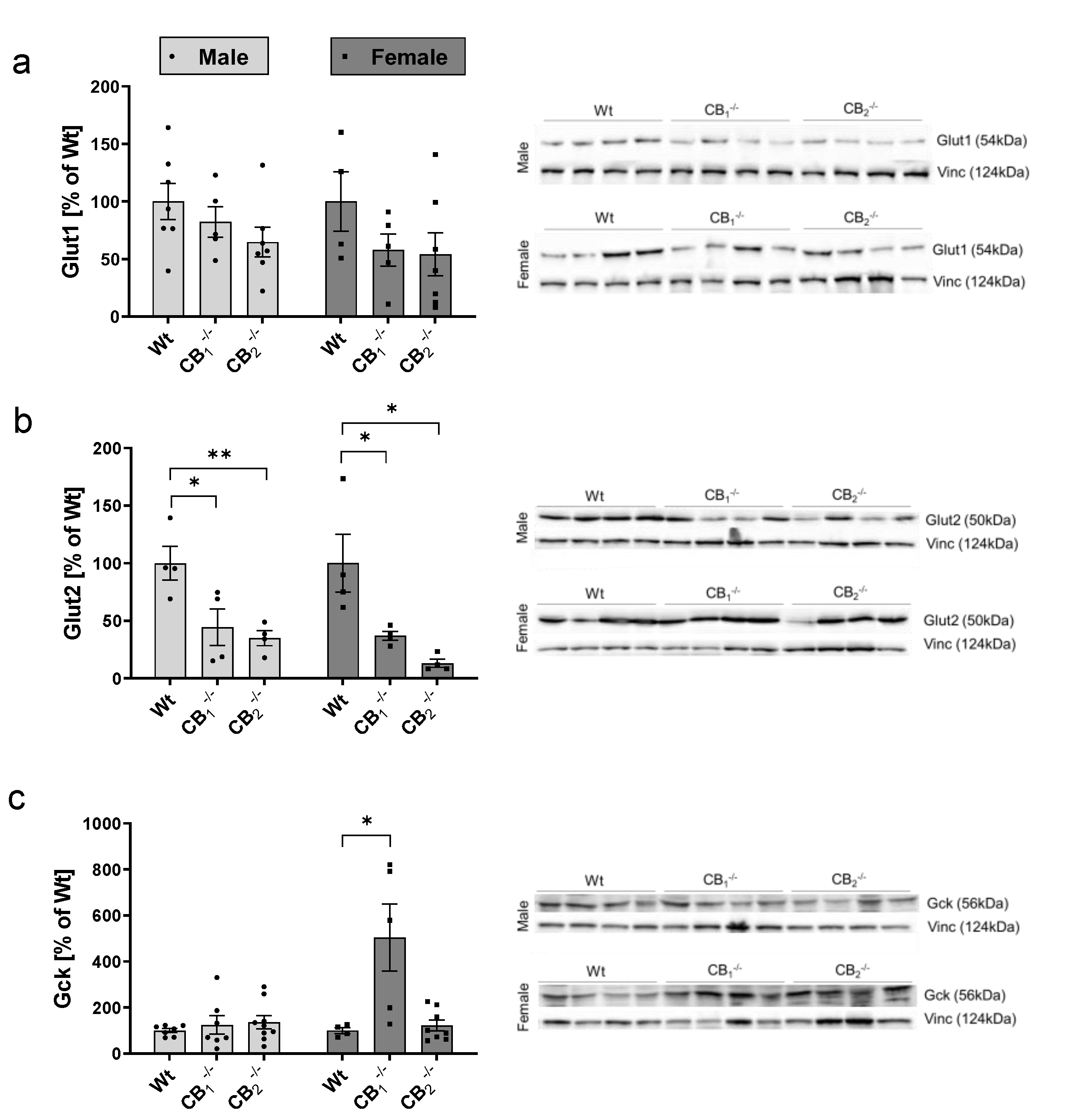 Ijms 21 03168 g0a3 Ijms 21 03168 g0a3