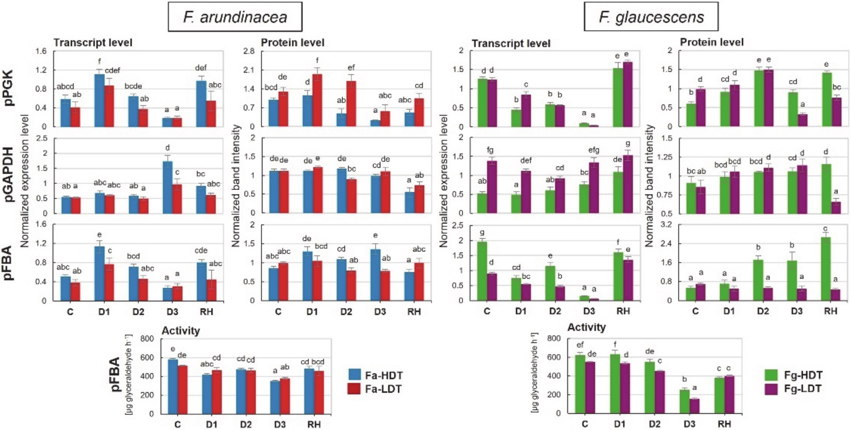 Ijms 21 03174 g002 Ijms 21 03174 g002