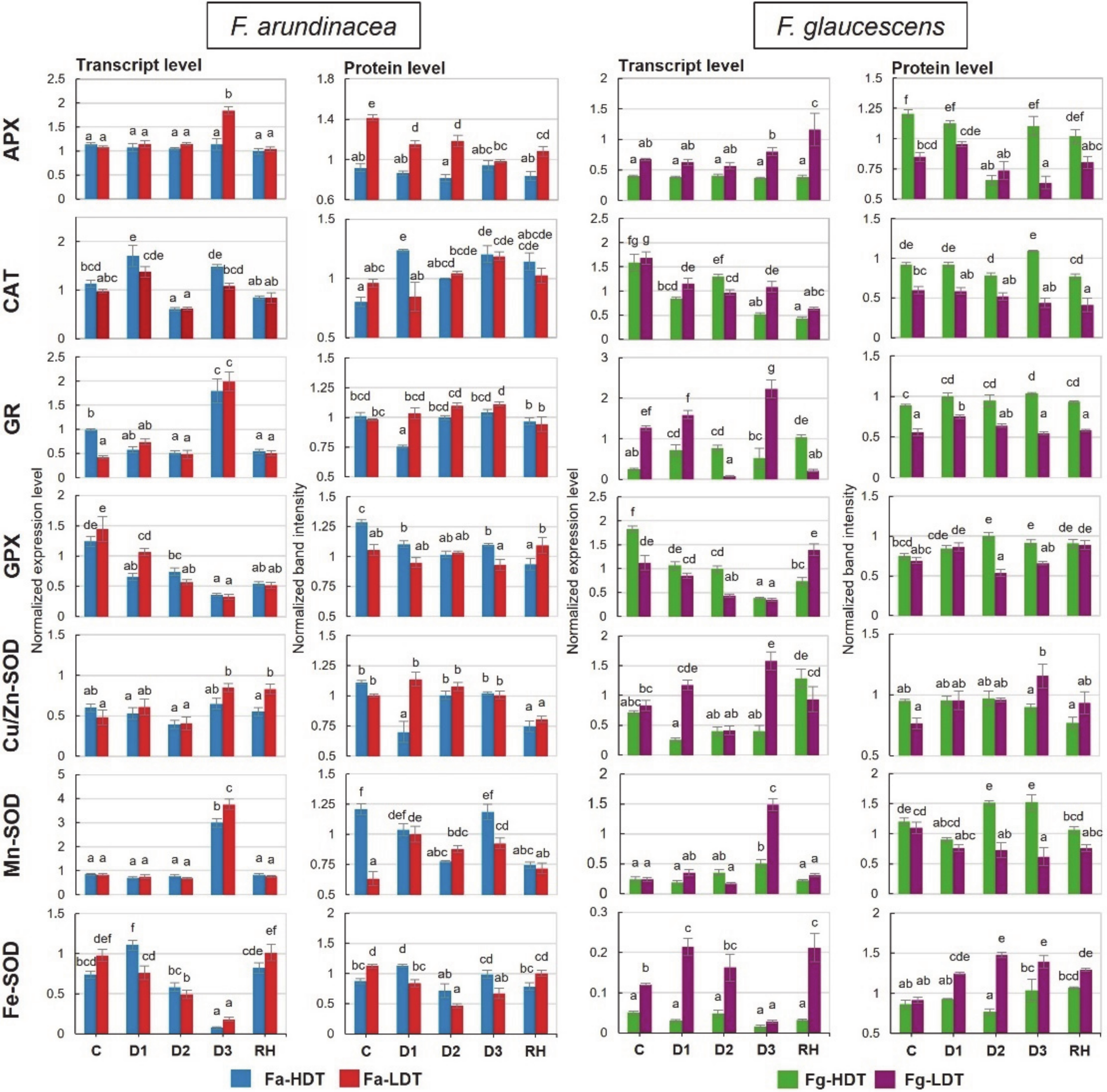 Ijms 21 03174 g003 Ijms 21 03174 g003
