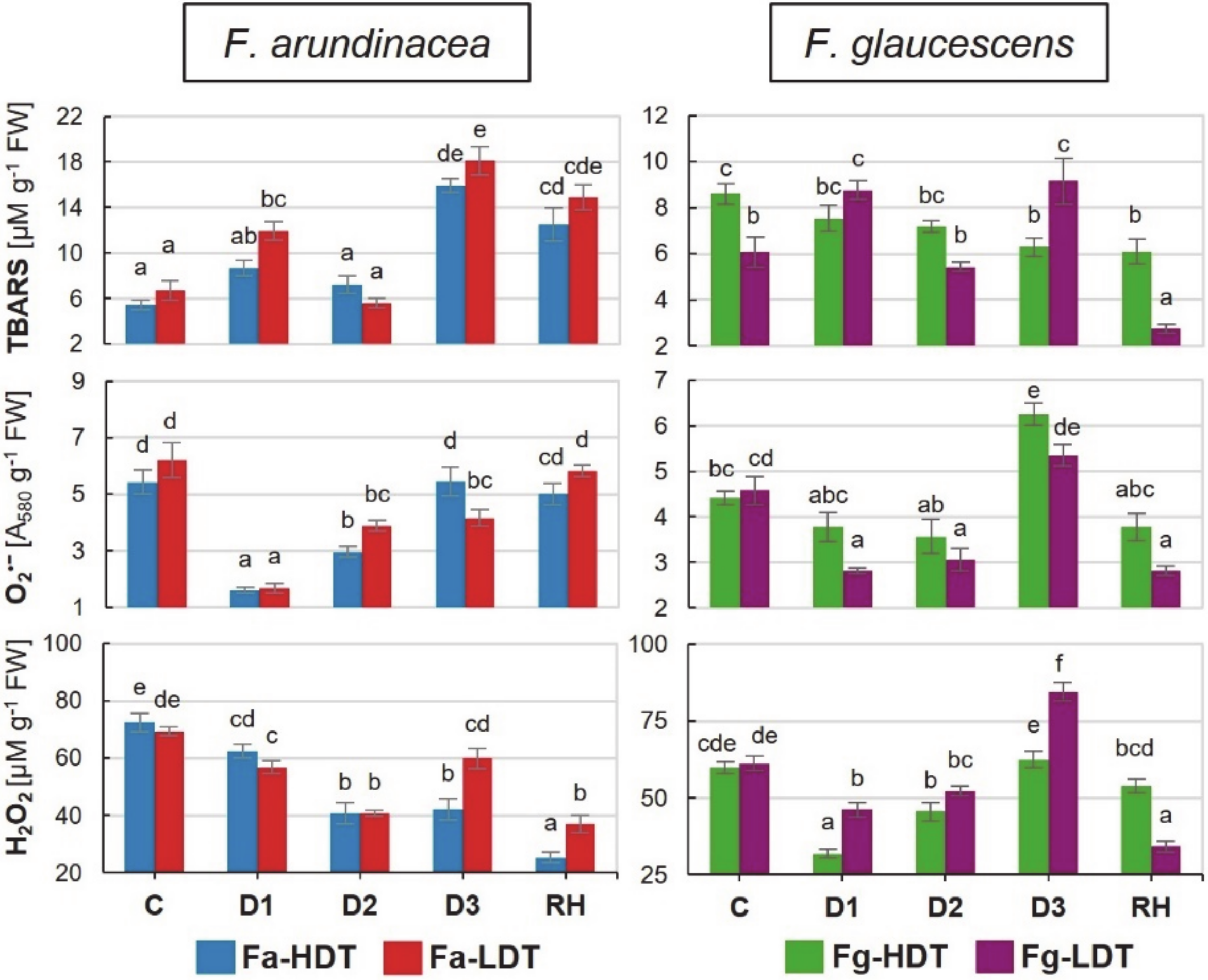 Ijms 21 03174 g005 Ijms 21 03174 g005