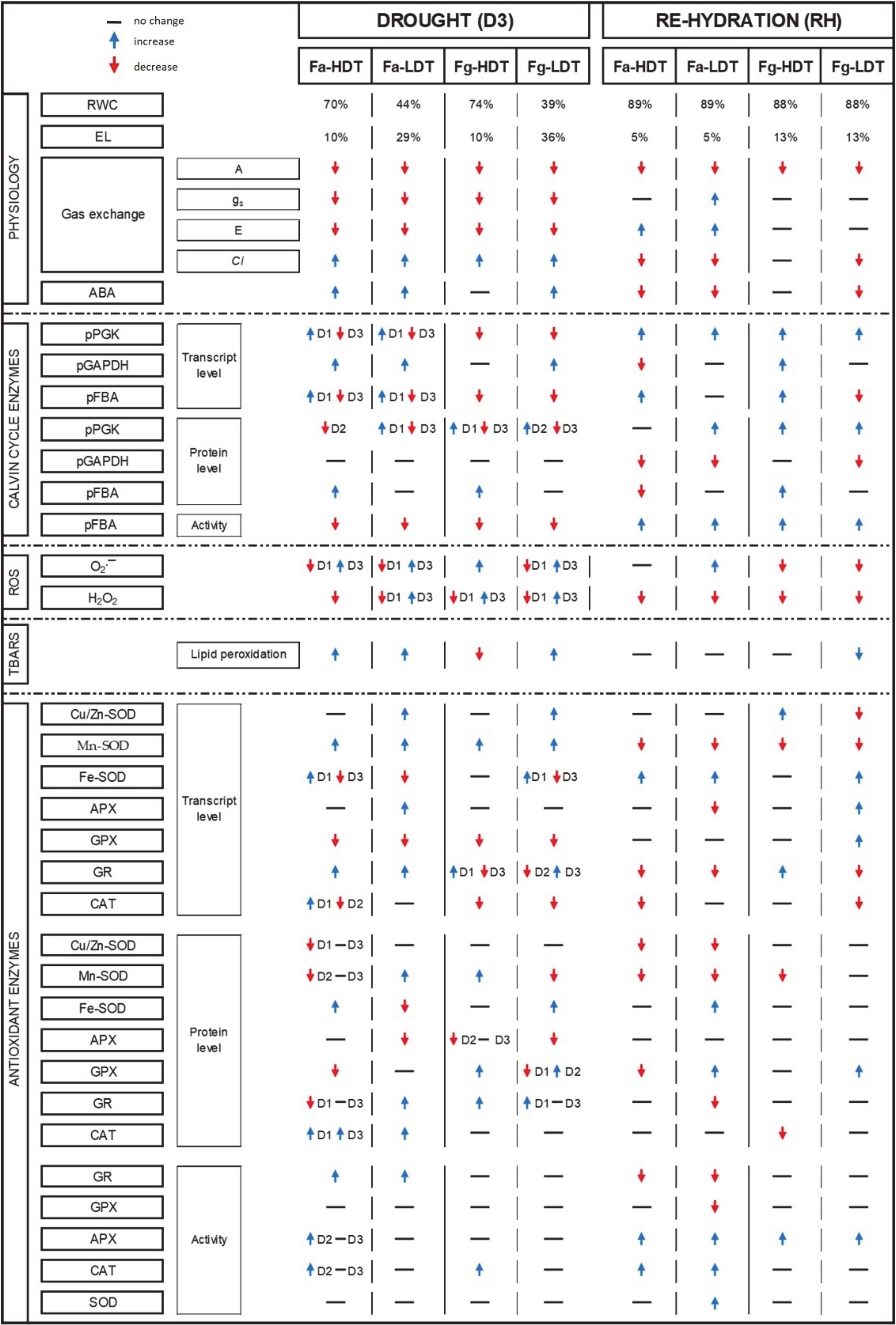 Ijms 21 03174 g006 Ijms 21 03174 g006