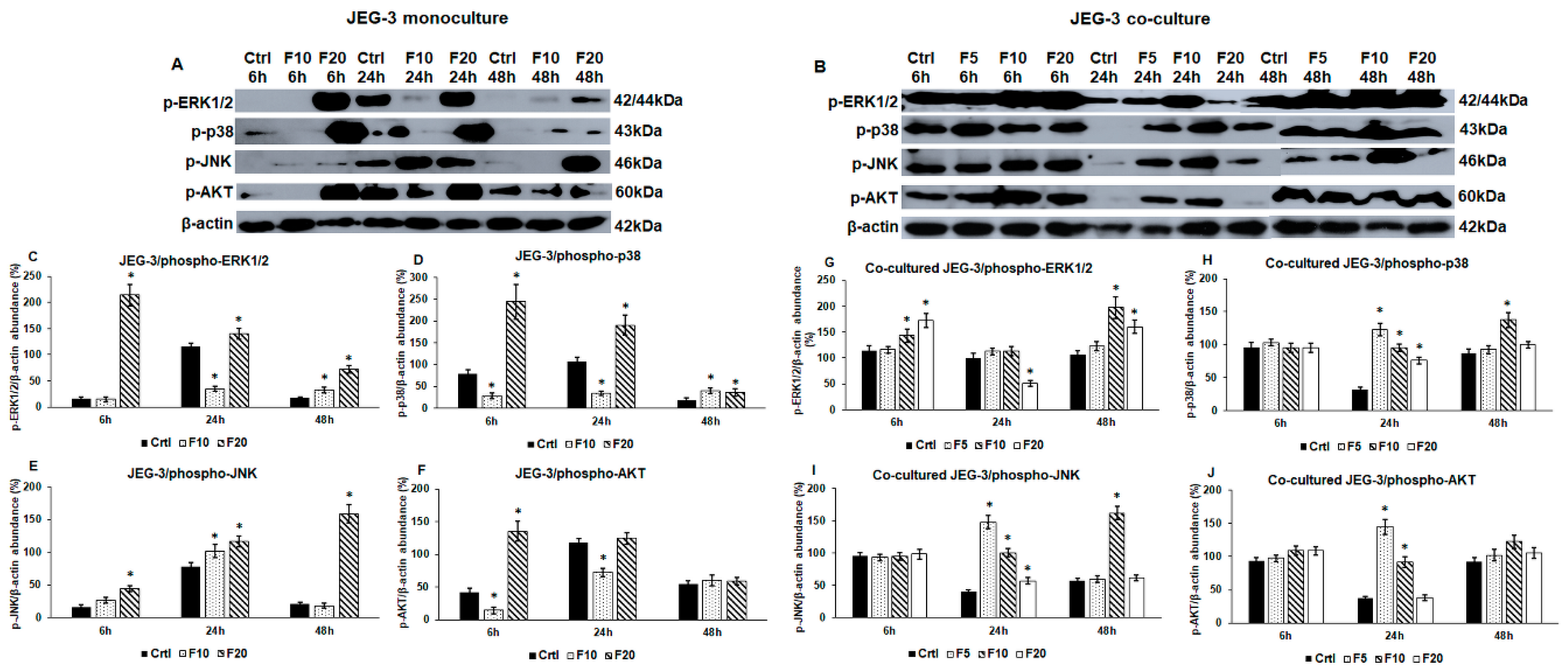 Ijms 21 03175 g002 Ijms 21 03175 g002