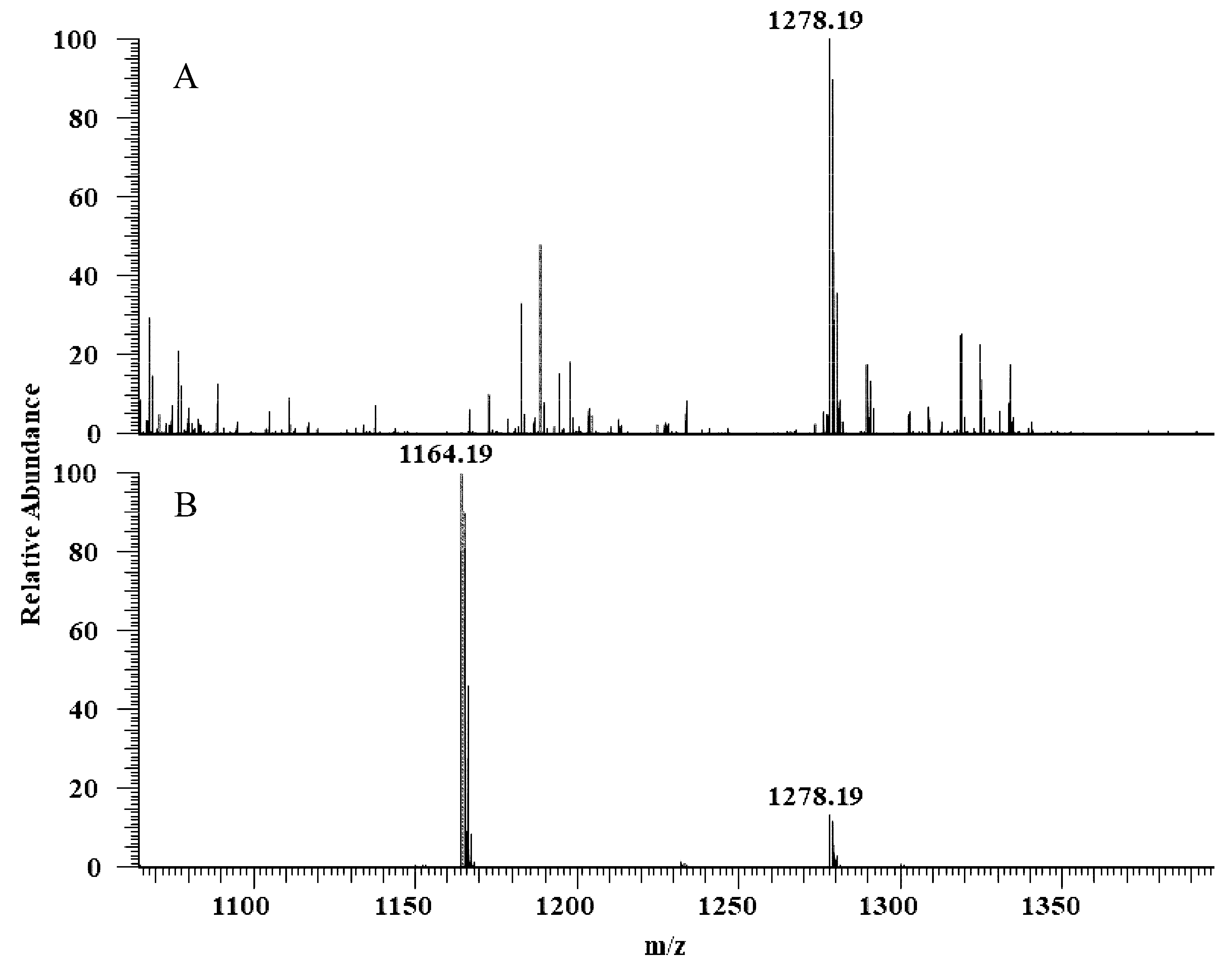 Ijms 21 03176 g005 Ijms 21 03176 g005