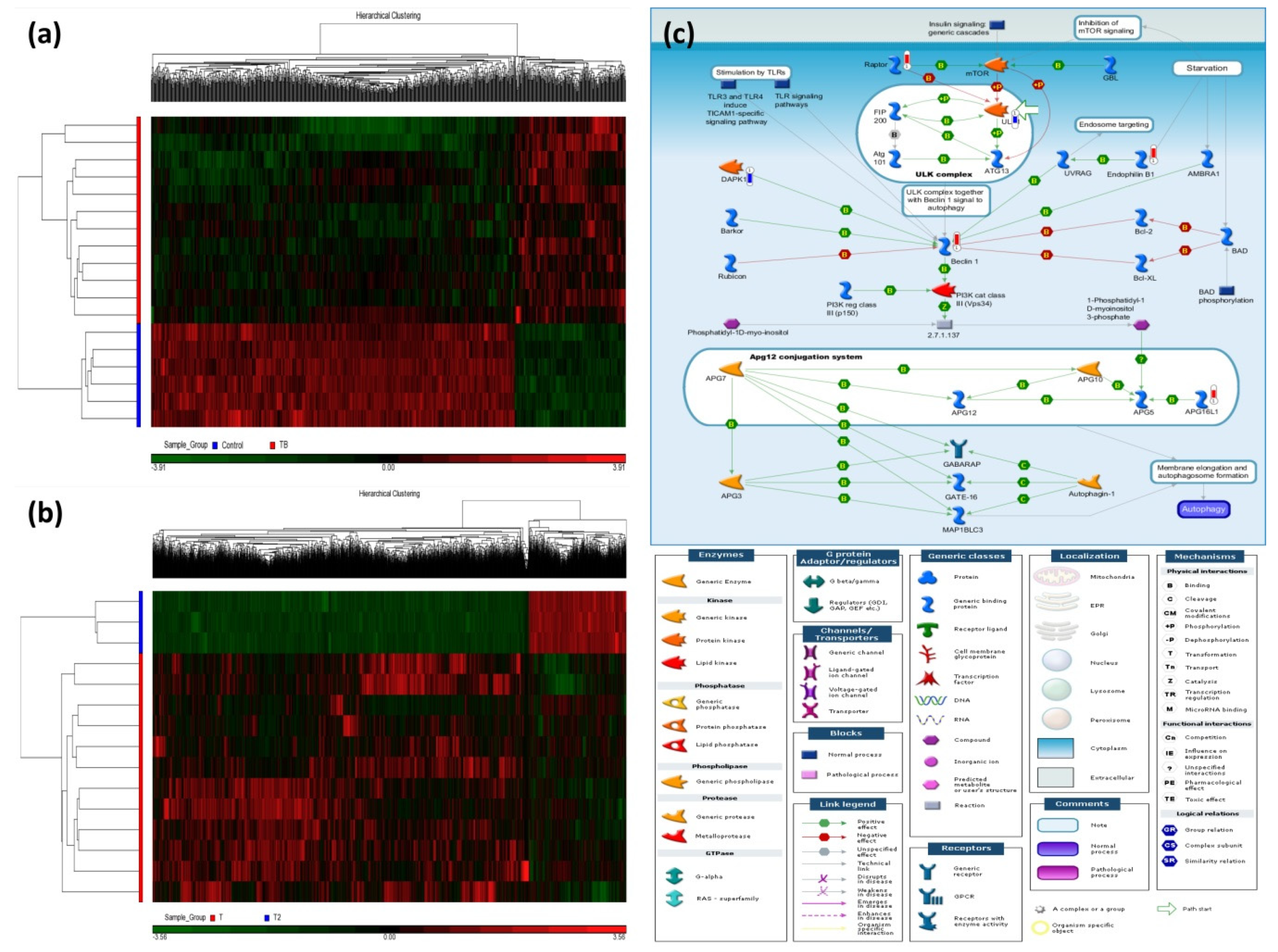 Ijms 21 03180 g001 Ijms 21 03180 g001