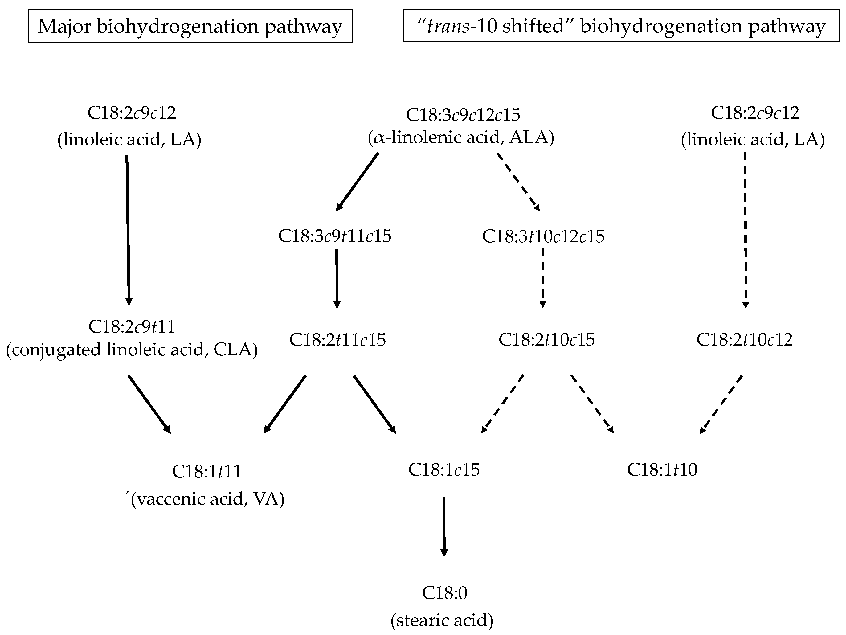 IJMS | Free Full-Text | Adipose Tissue Modification through Feeding Strategies and Their Implication on Adipogenesis and Adipose Tissue Metabolism in Ruminants | HTML IJMS | Free Full-Text | Adipose Tissue Modification through Feeding Strategies and Their Implication on Adipogenesis and Adipose Tissue Metabolism in Ruminants | HTML