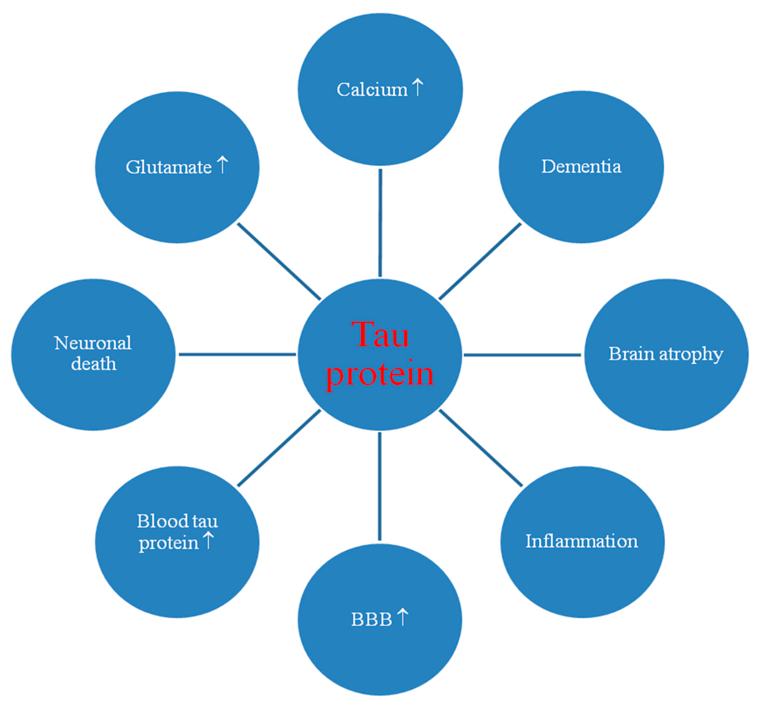 Ijms 21 03186 g002 Ijms 21 03186 g002