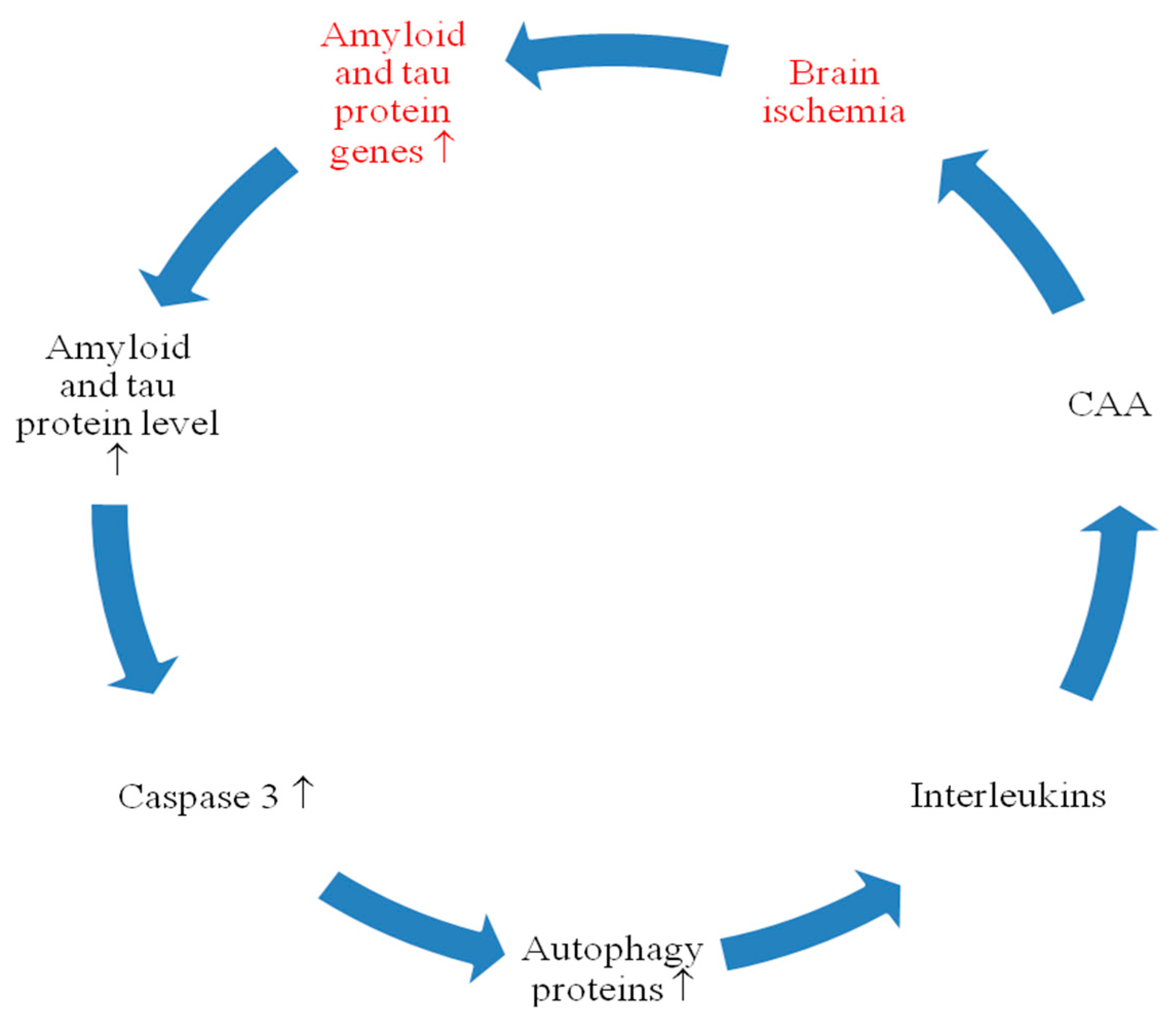 Ijms 21 03186 g003 Ijms 21 03186 g003