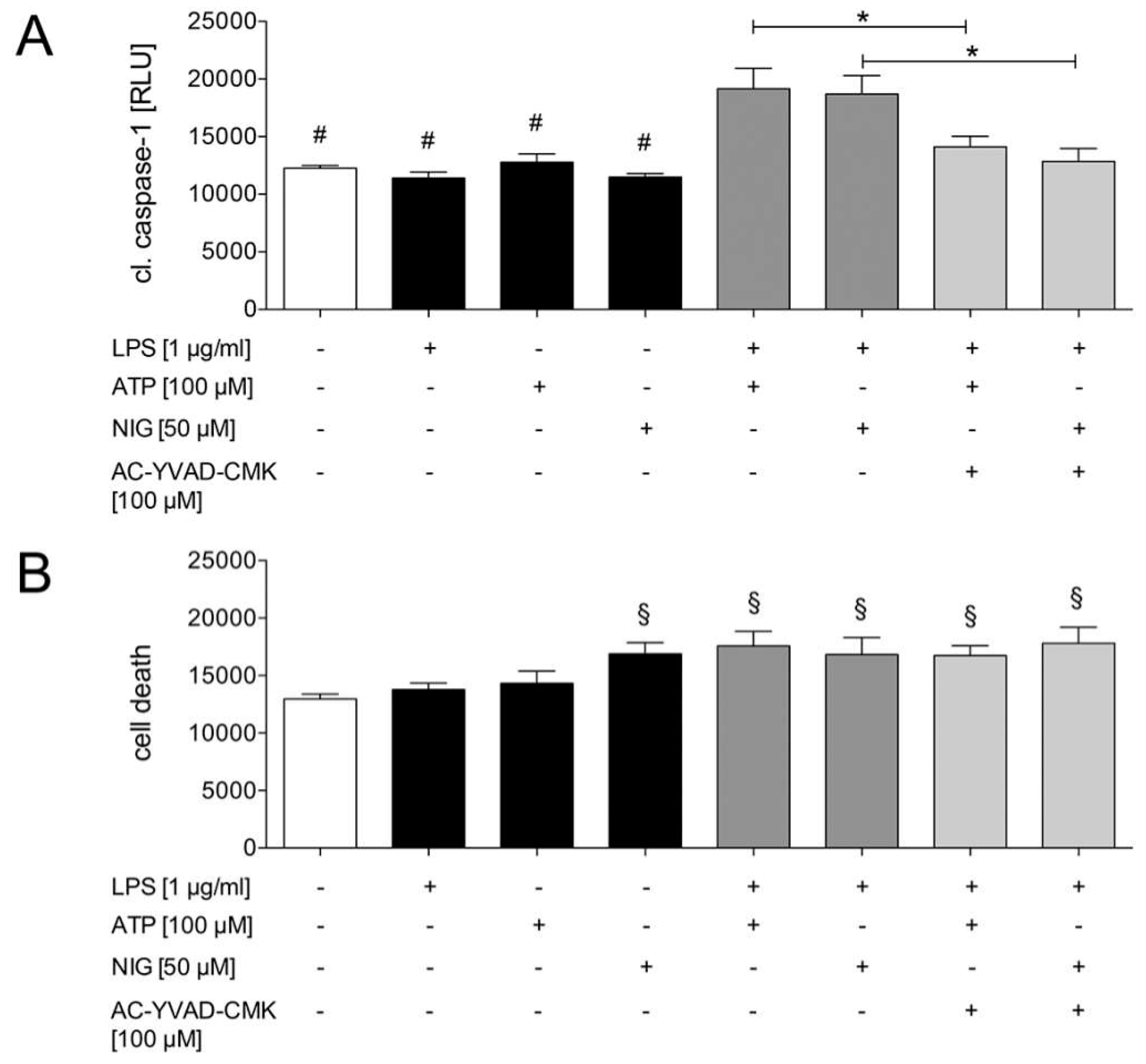 Ijms 21 03196 g004 Ijms 21 03196 g004
